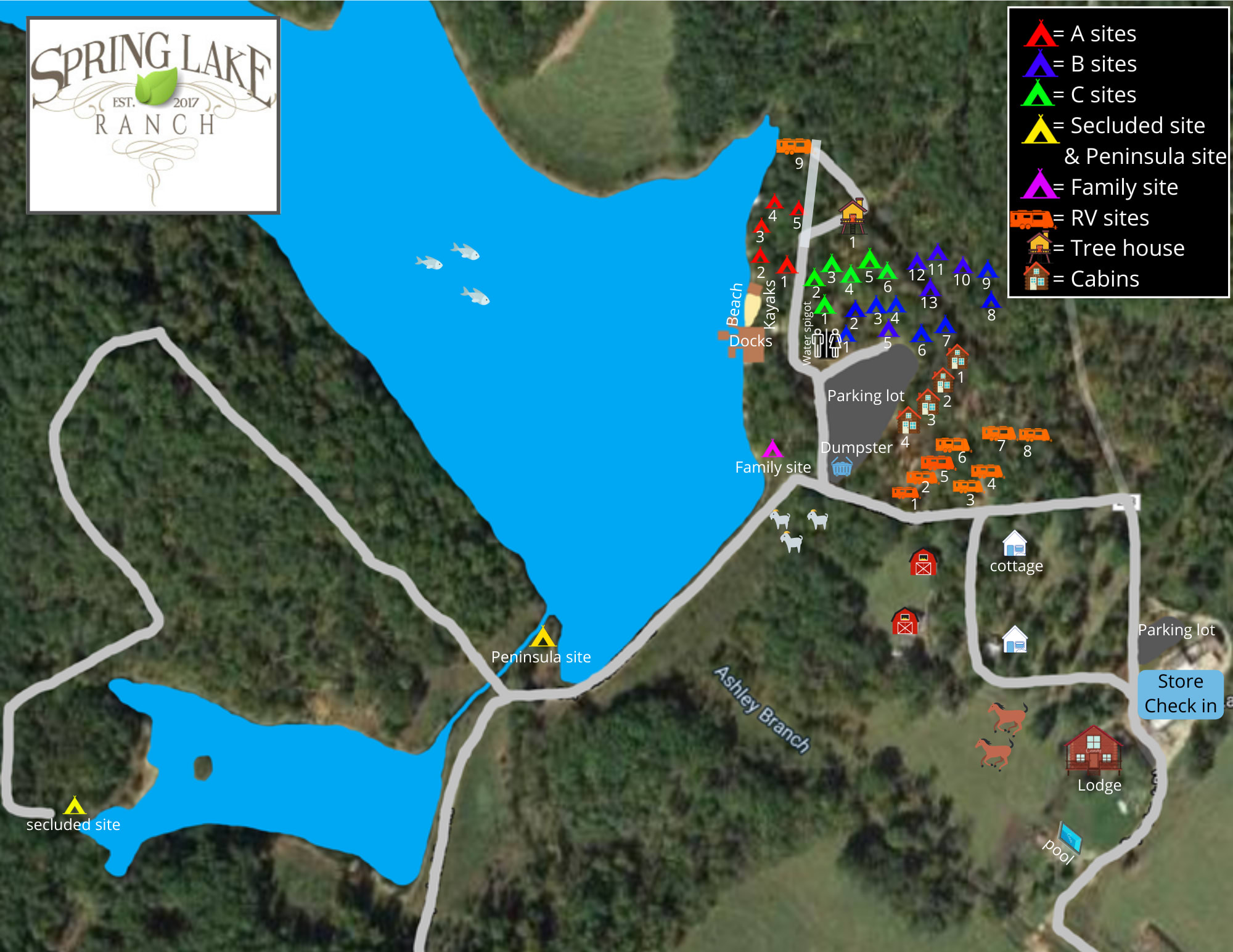 Picture of the site