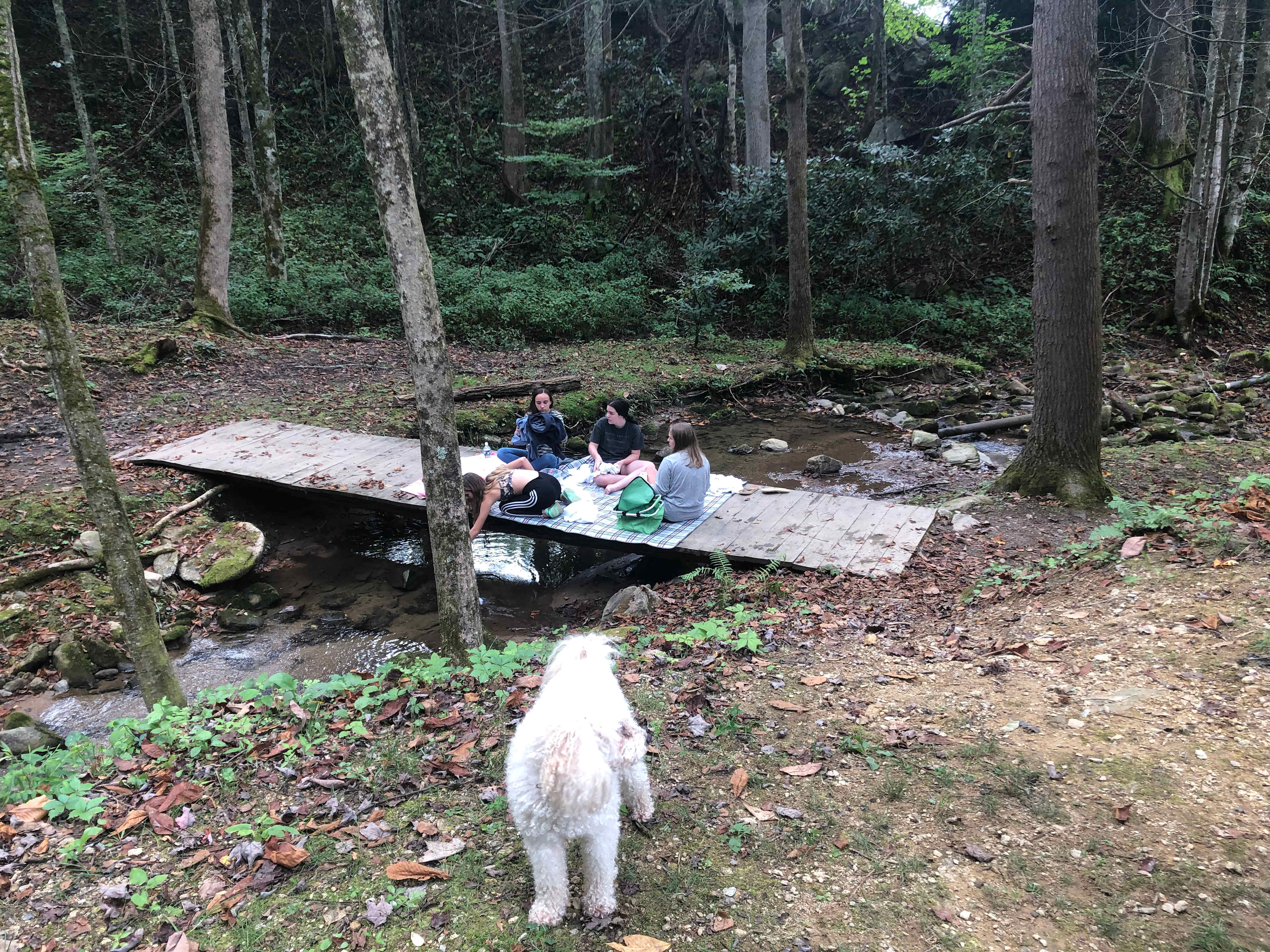 Dark Ridge Hide Out (Adults Only)