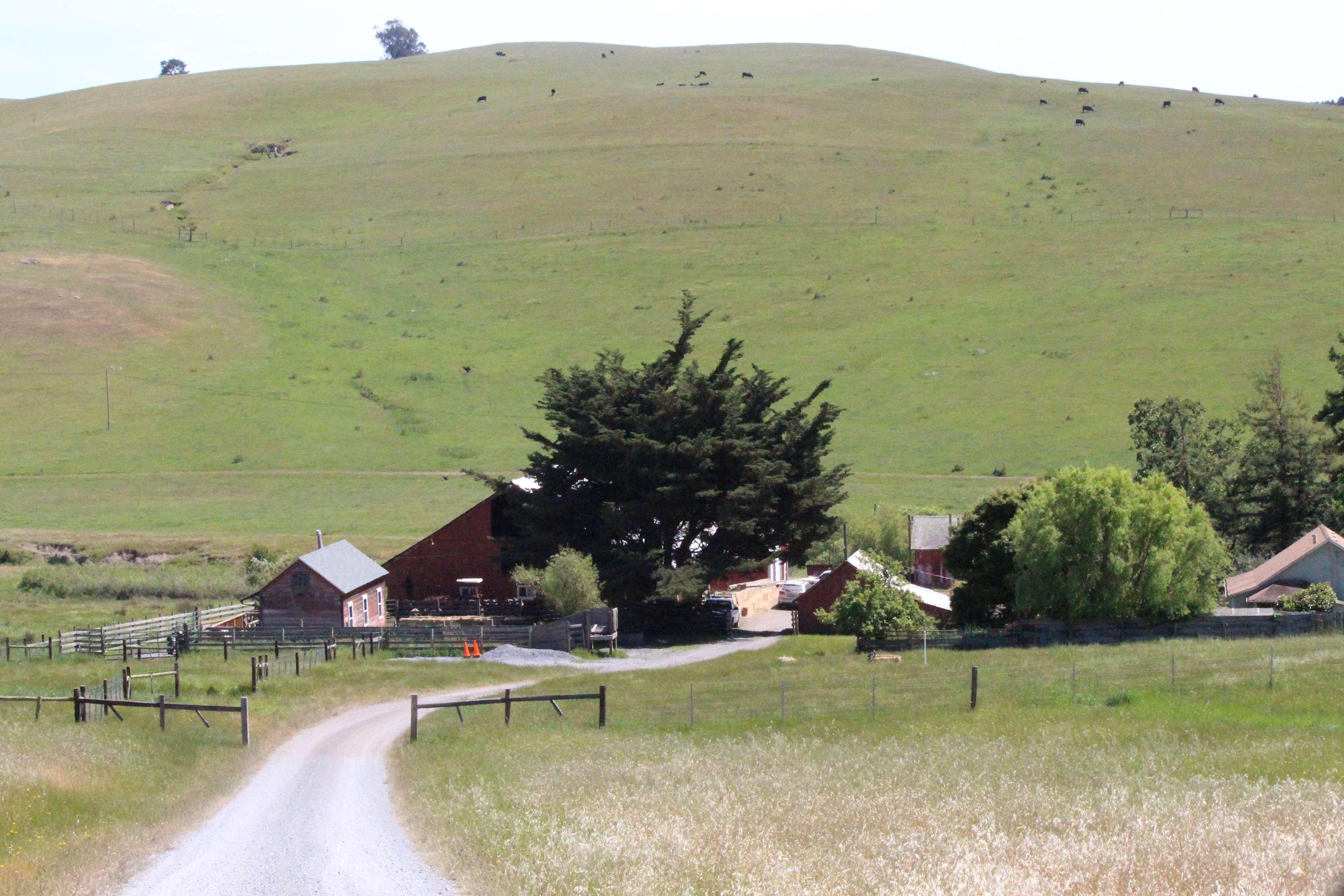 Stemple Creek Ranch