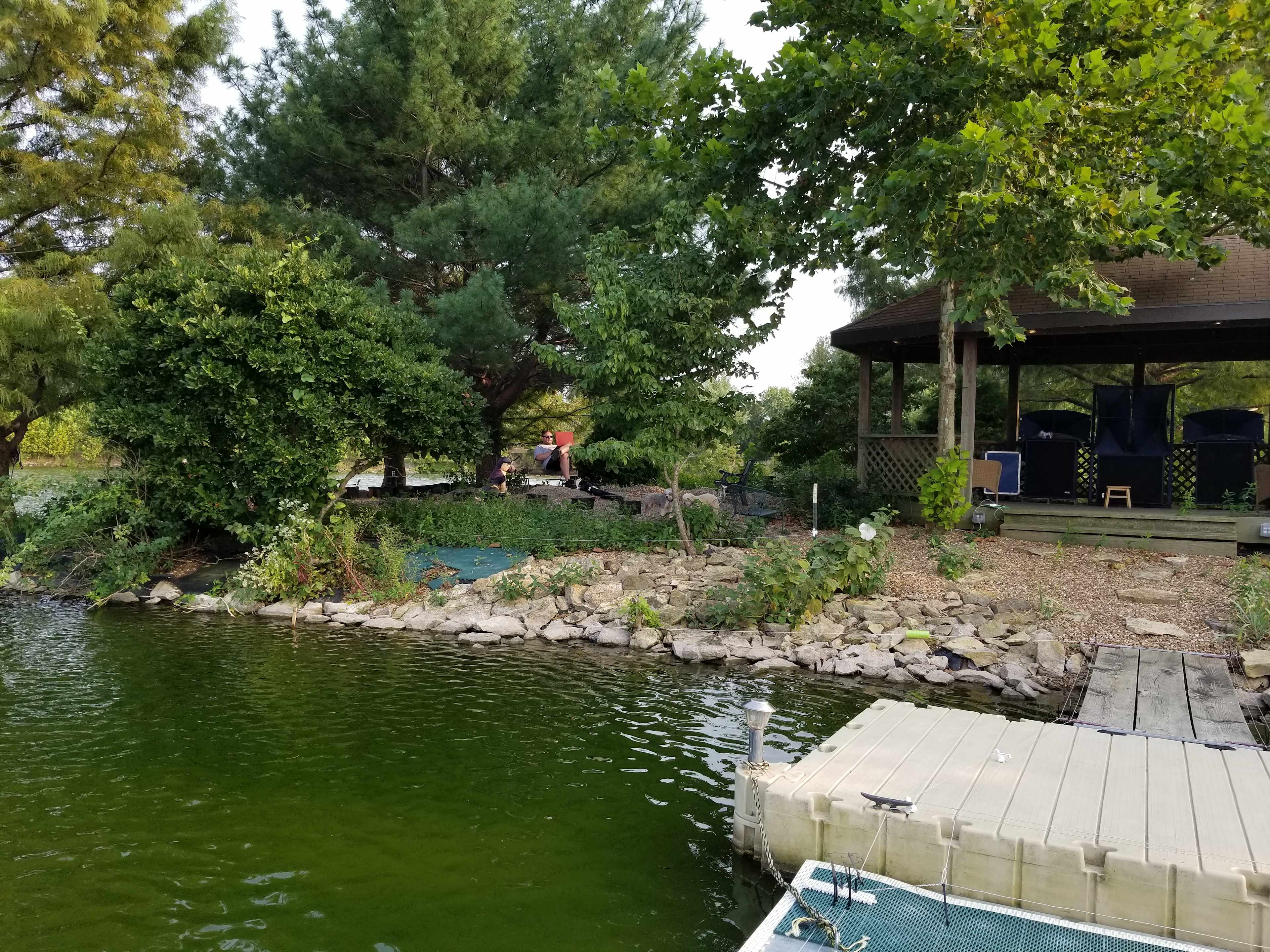 Picture of the site