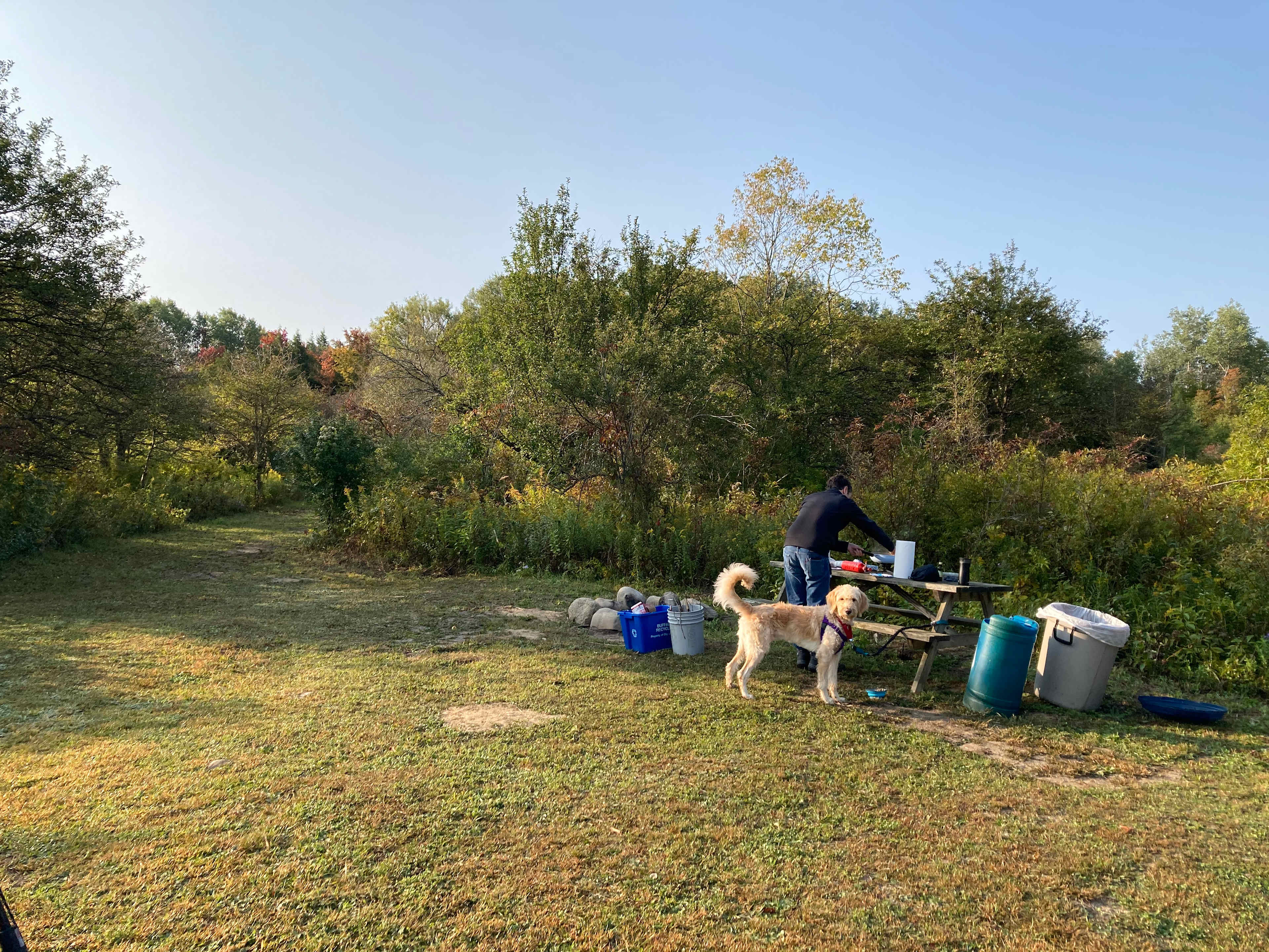 Apple Cove Farm
