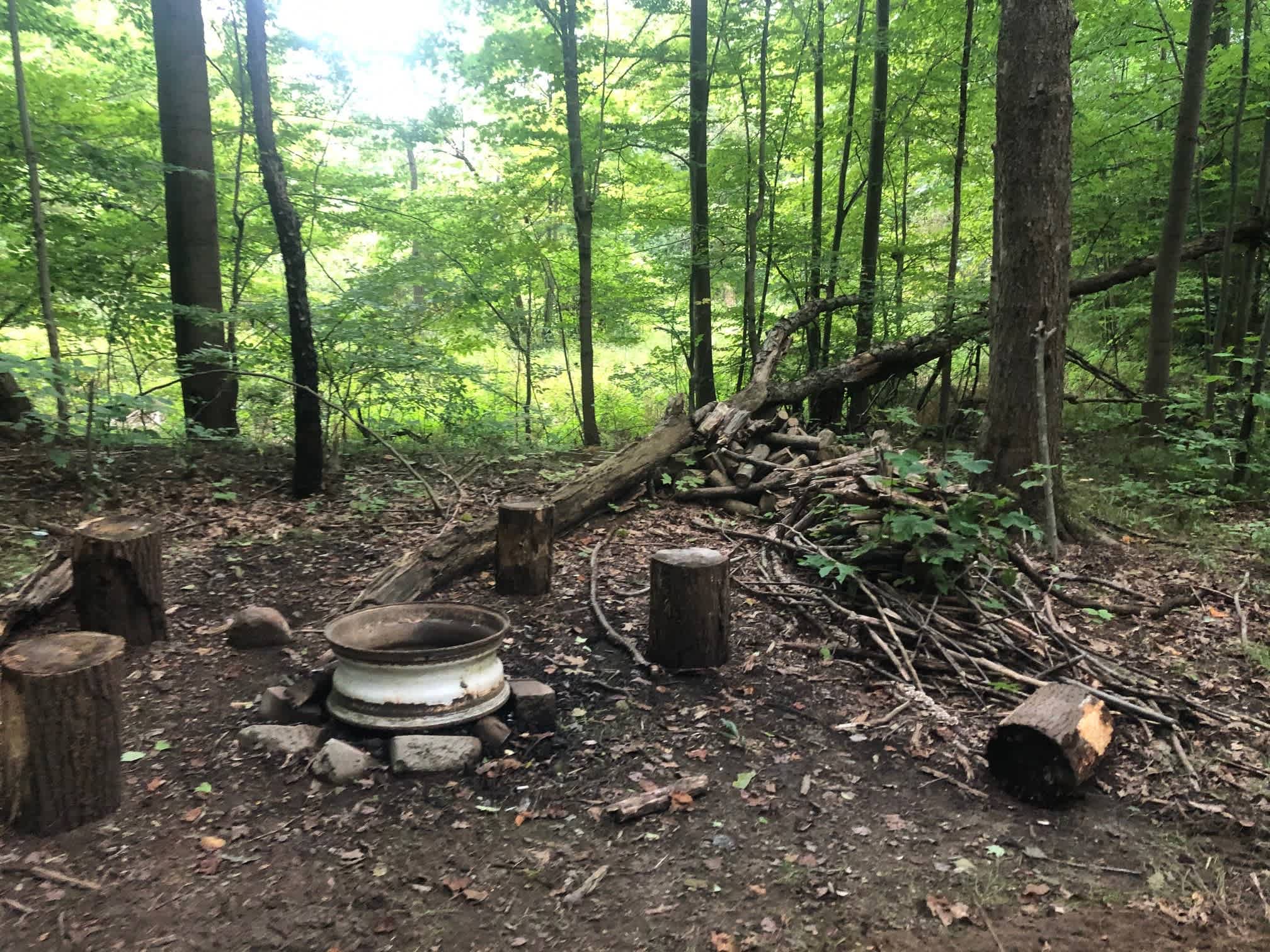 Fire pit and south view