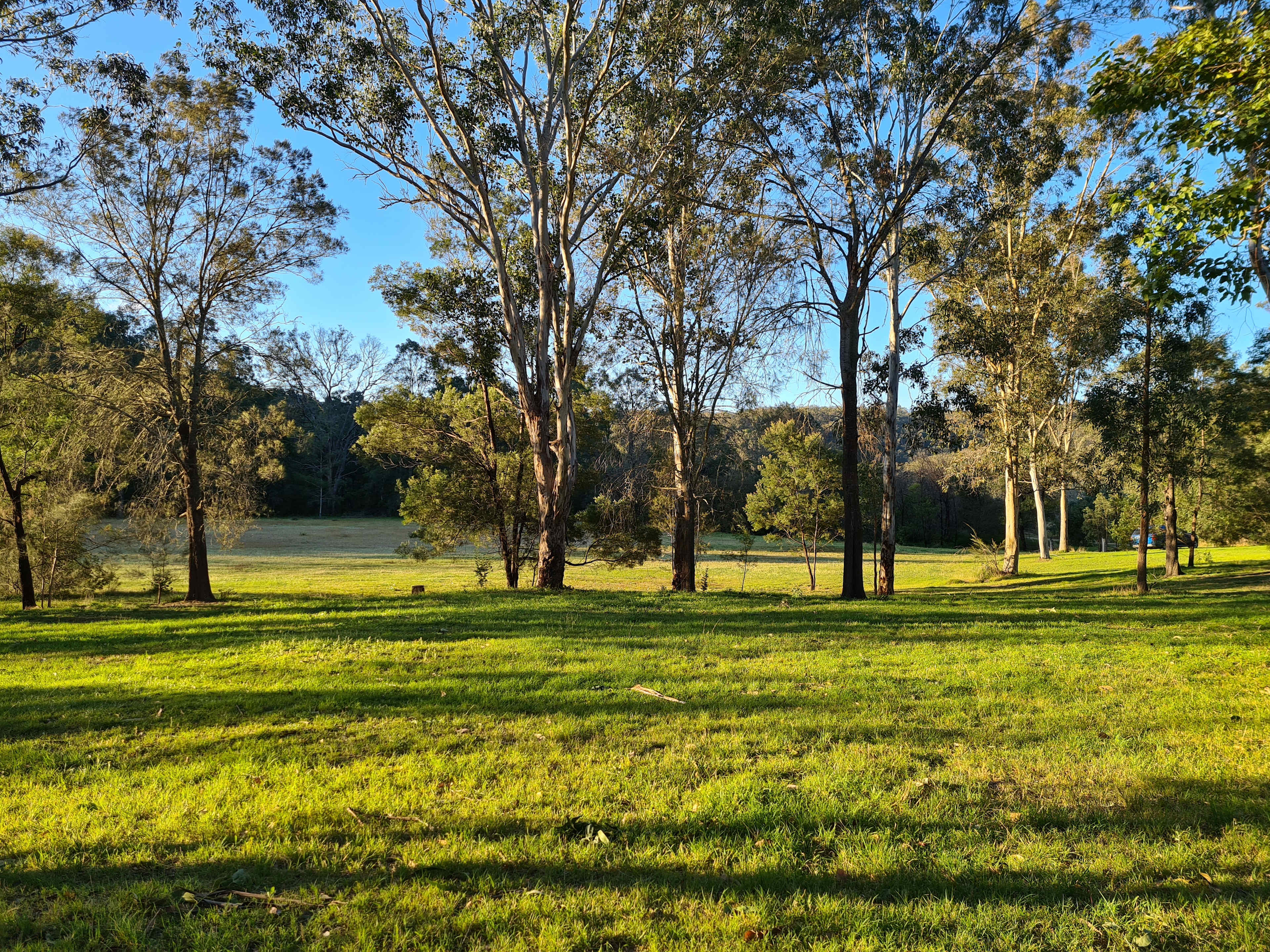 Camping site options