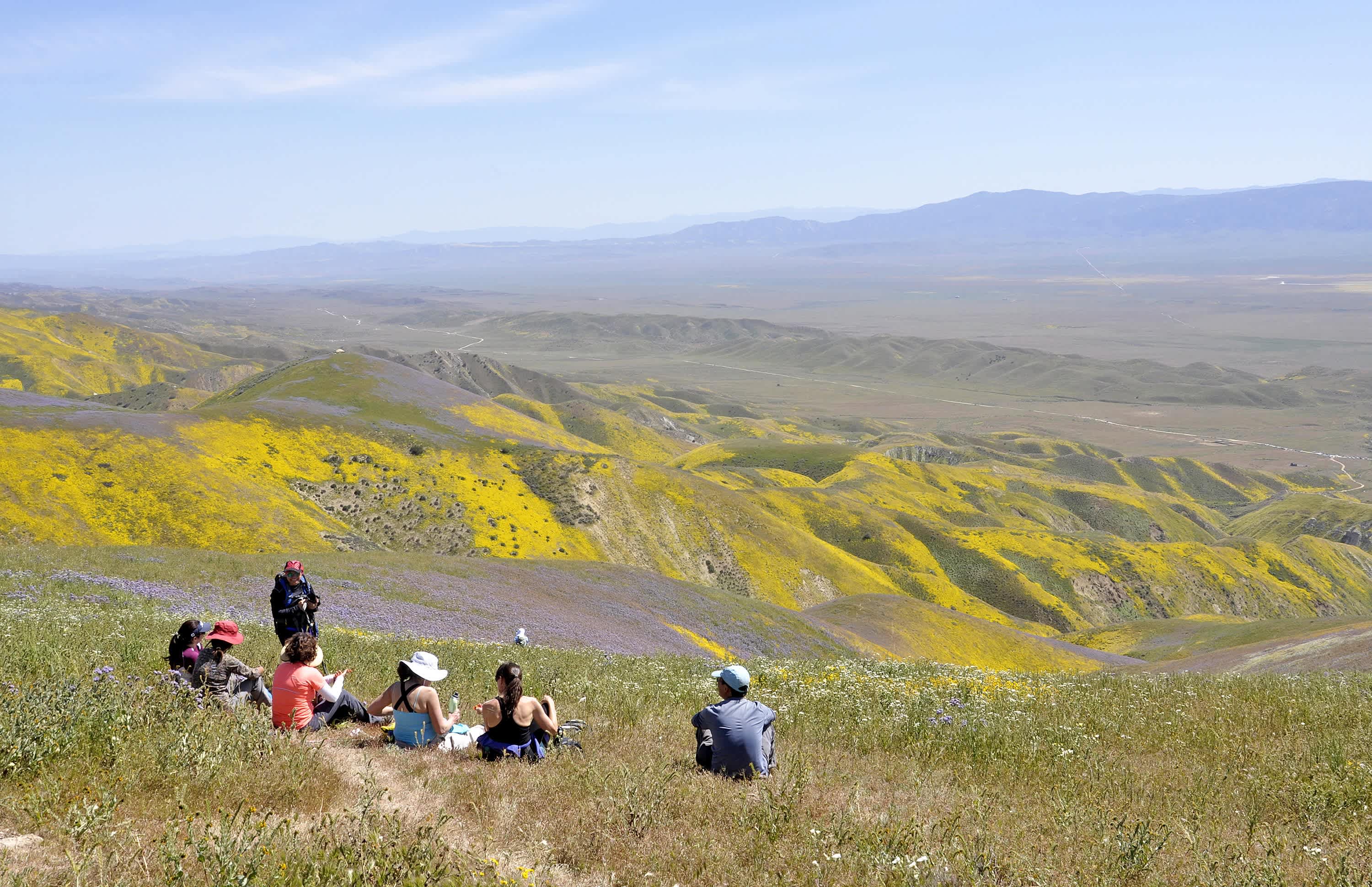 Carrizo National