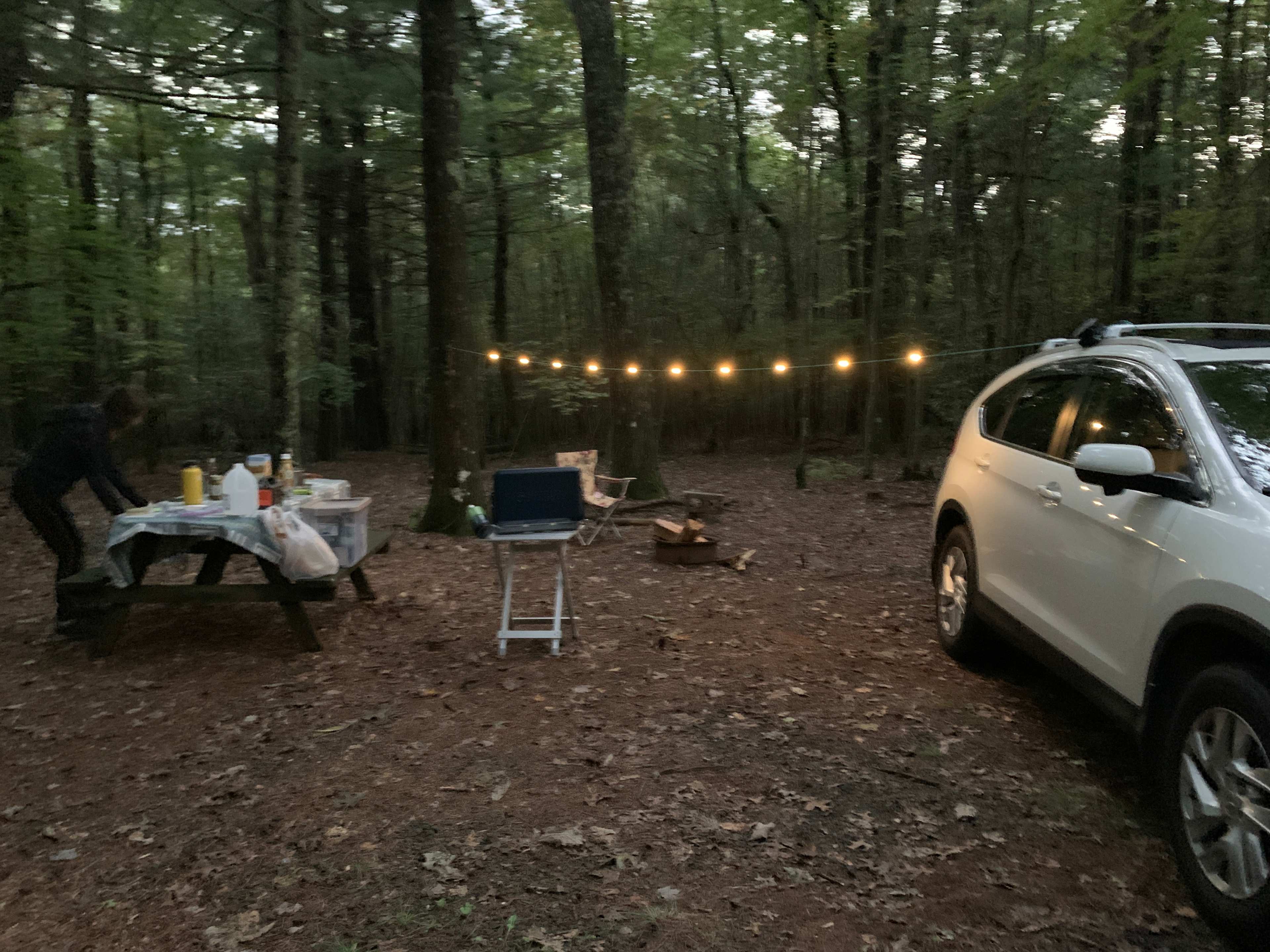 Picture of the site