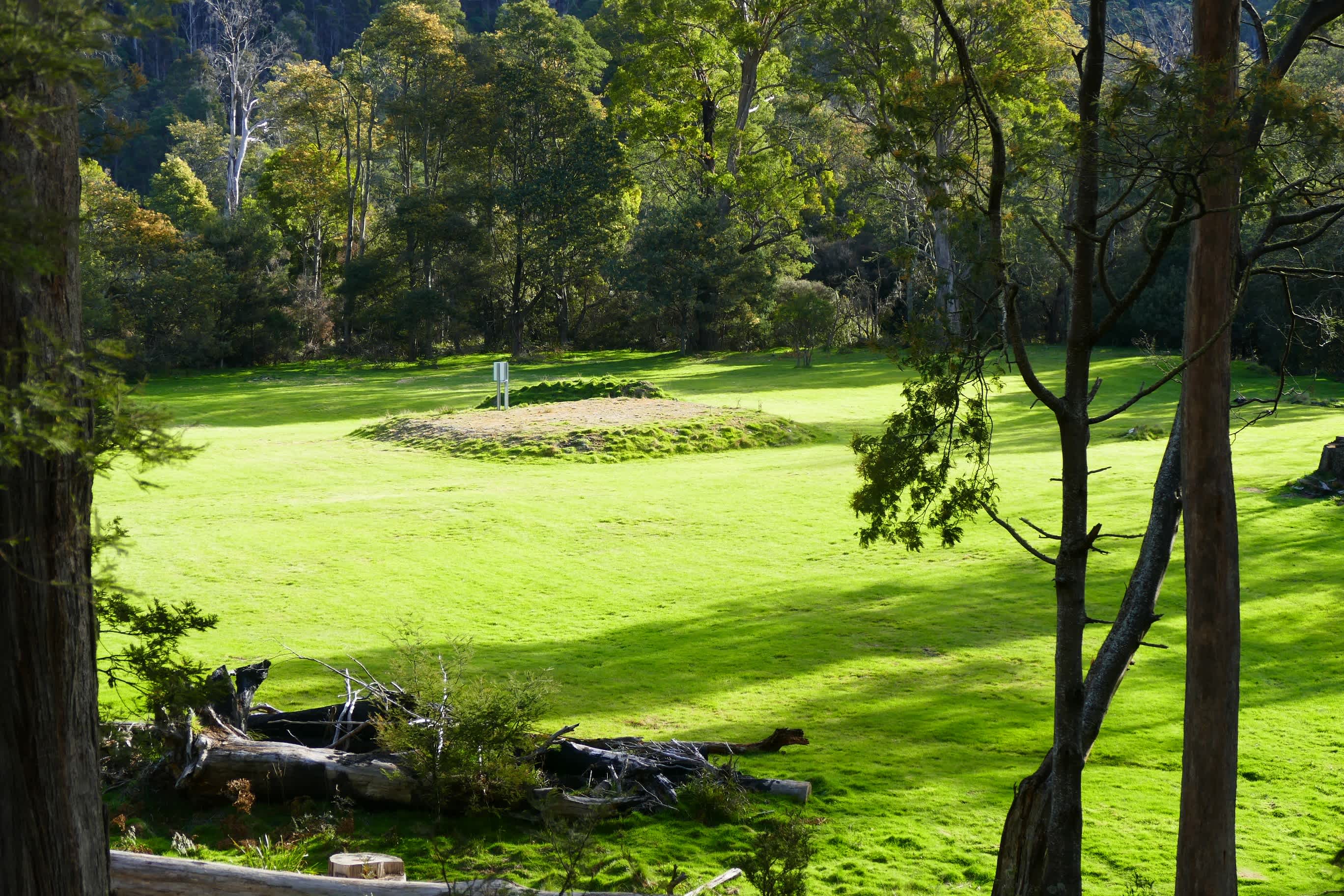The main camping area.
