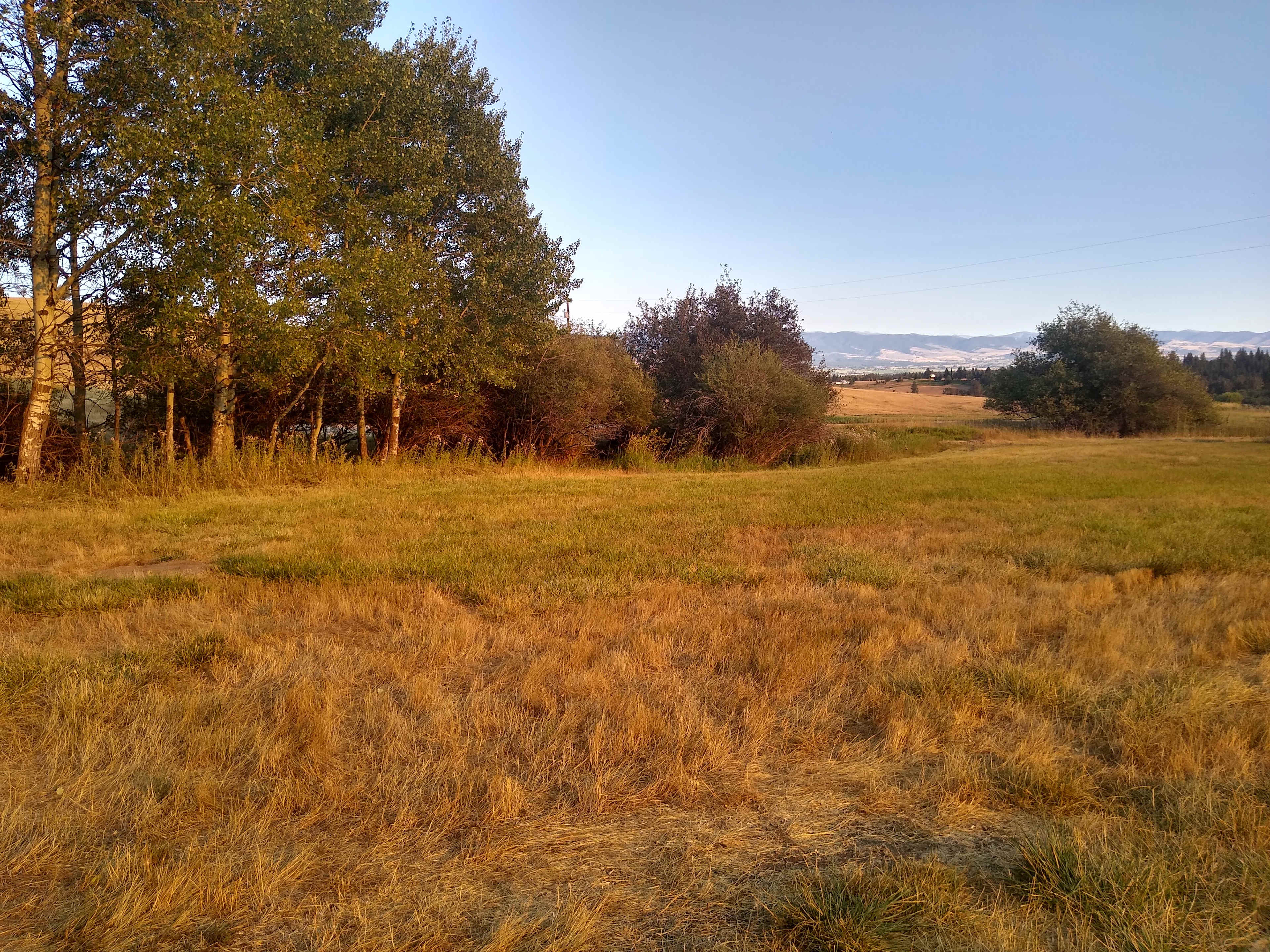 Camping Area