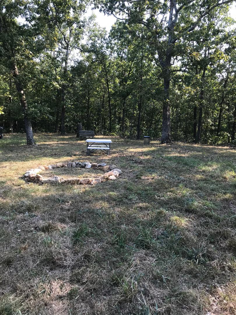 Camping Area in clearing