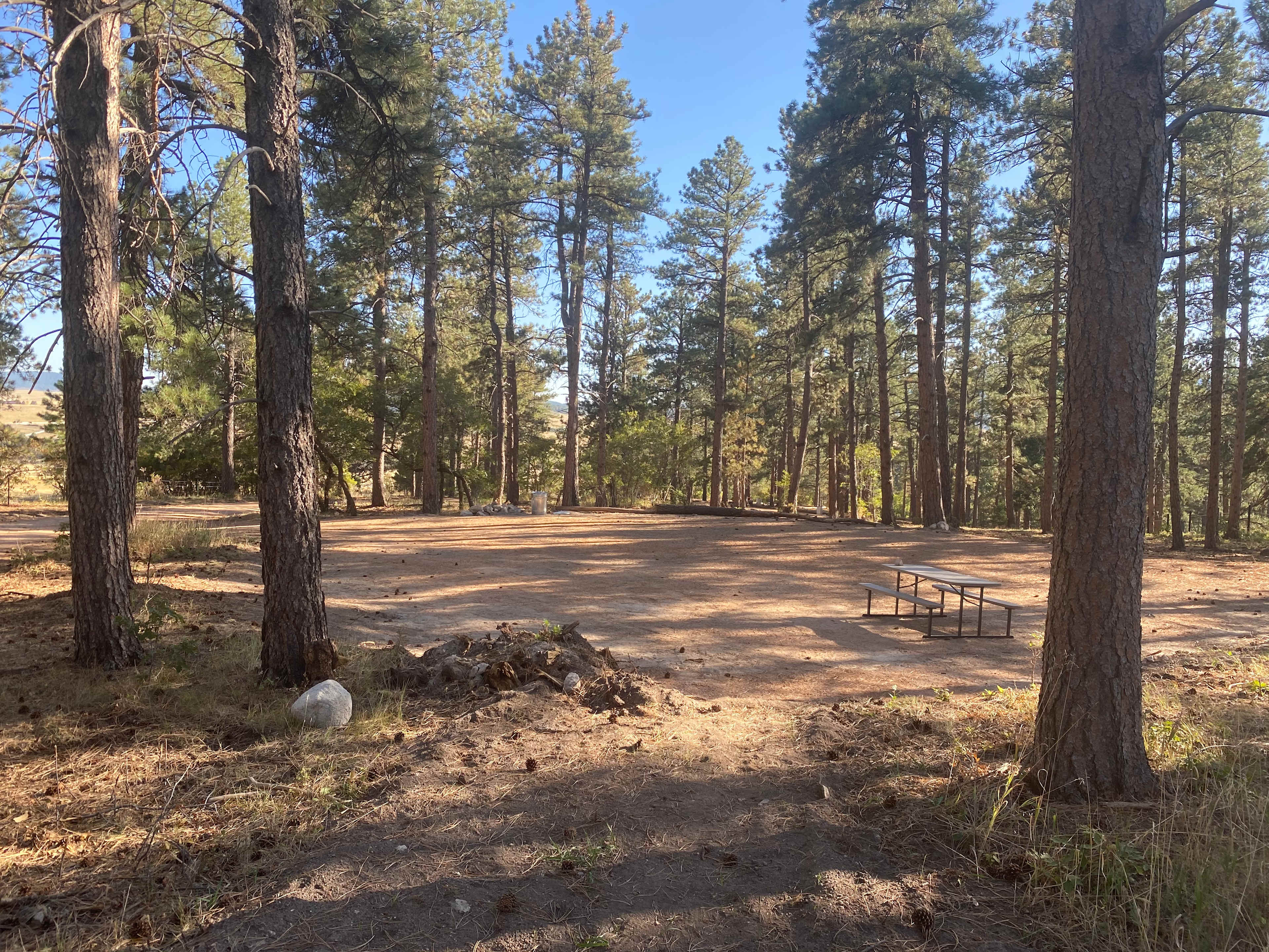 Picture of the site