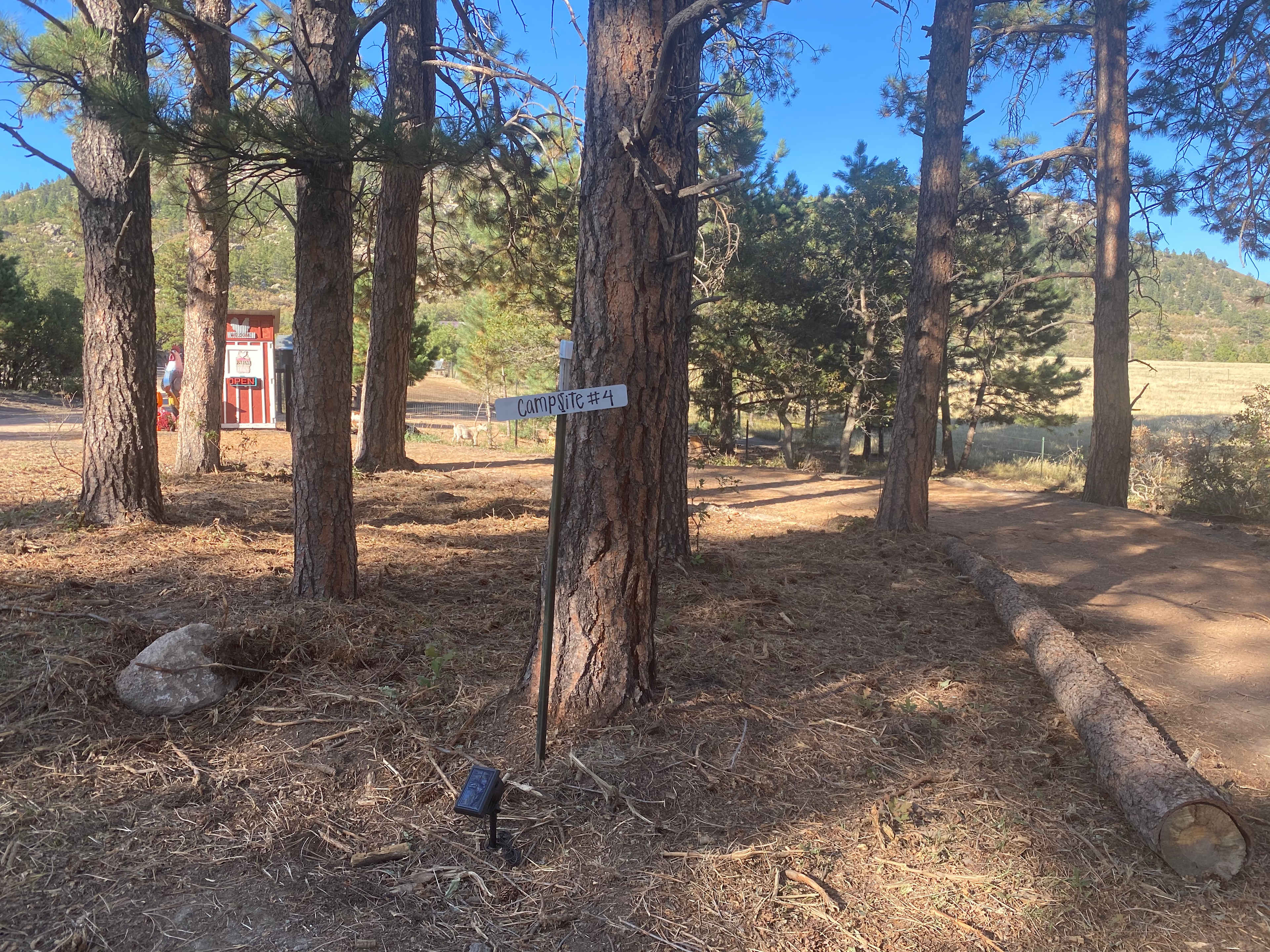Picture of the site