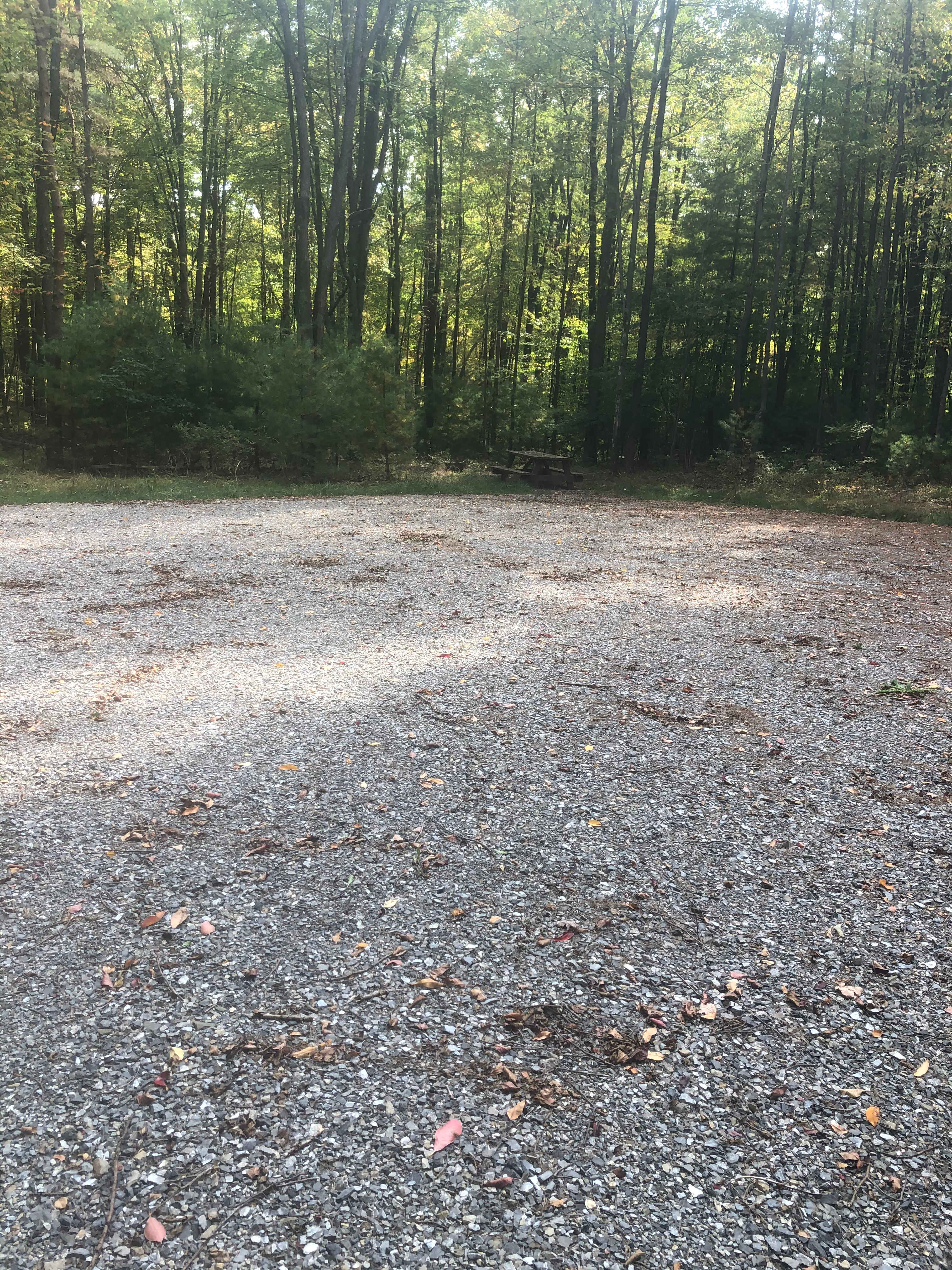 Dave S.’s Land