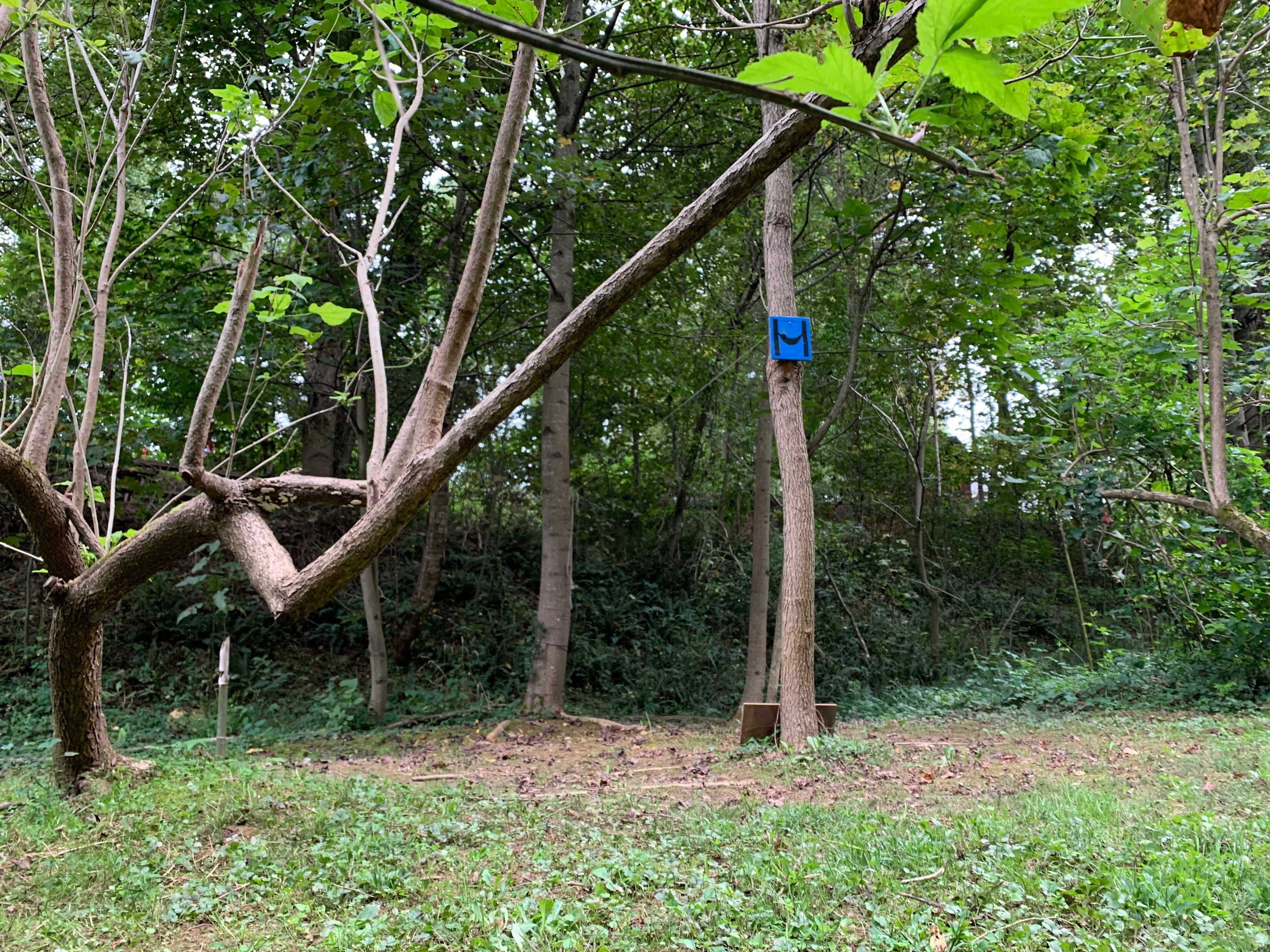The Baying Hound Campground