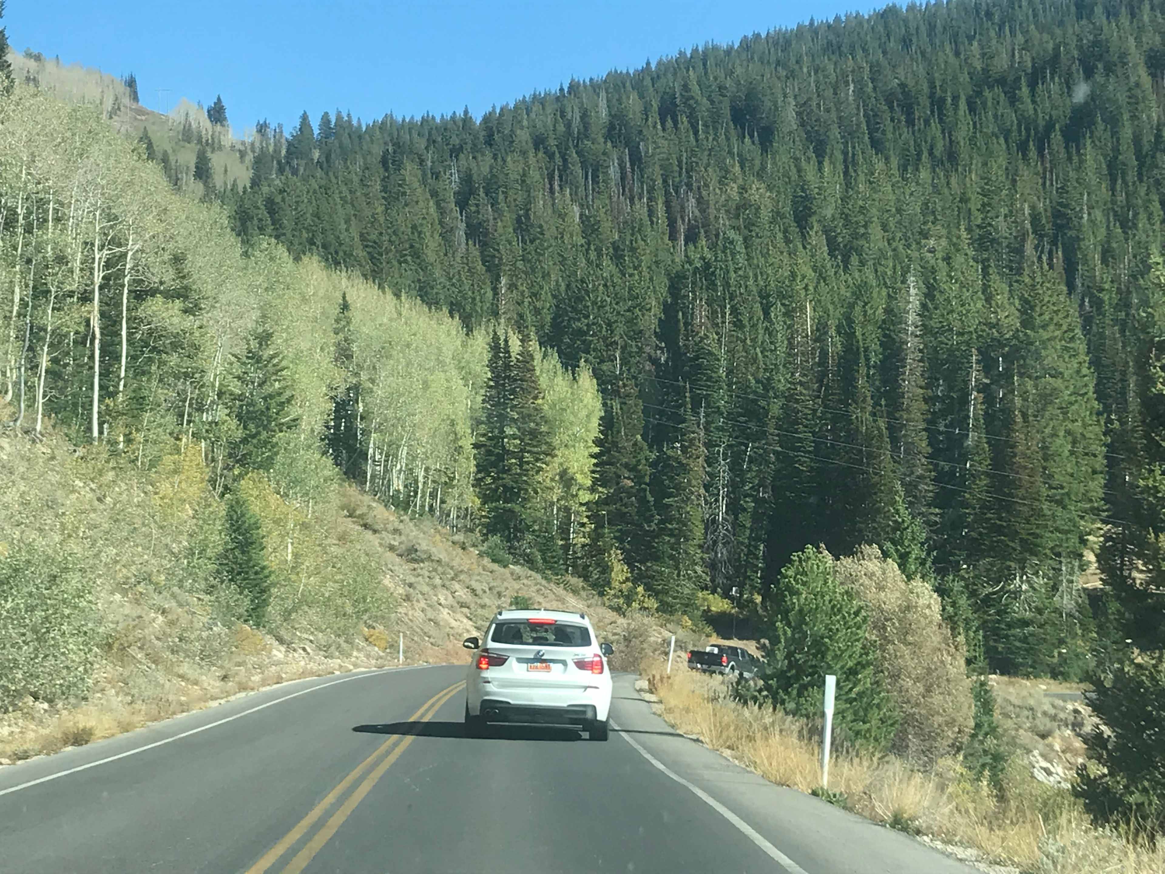 Road to the campsite