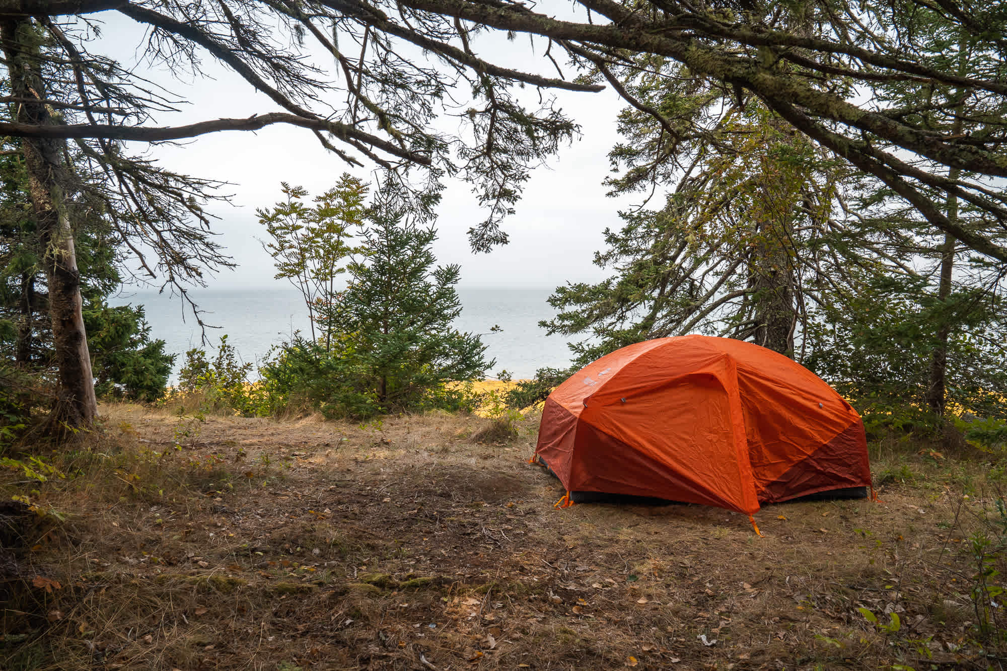 Nestled into our campsite.