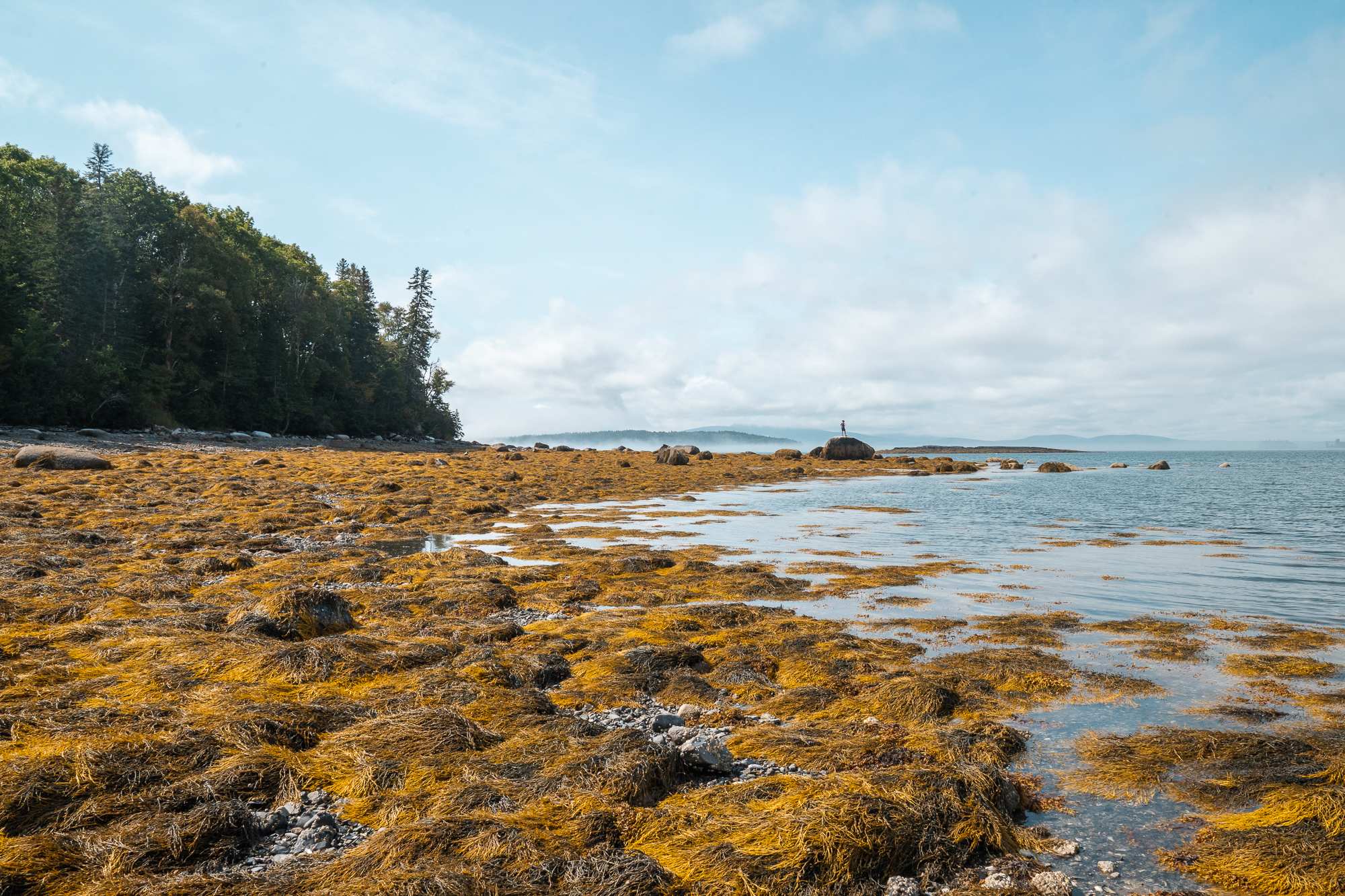 Rock scrambling along the coast.