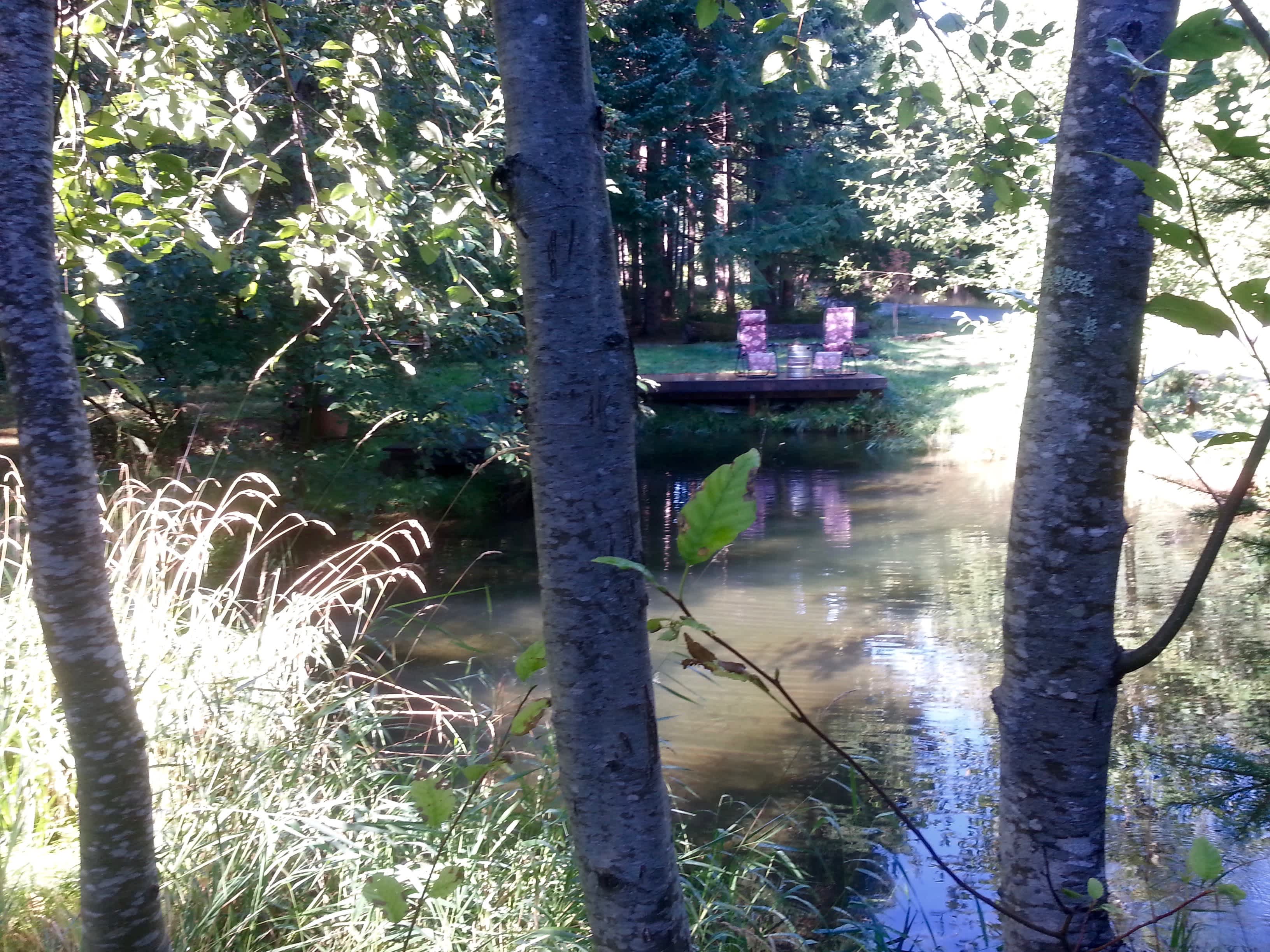 Trout pond next to your camp site with deck.  You are welcome to enjoy the deck and the fish pond.  It's a lovely place to hang out and relax!
