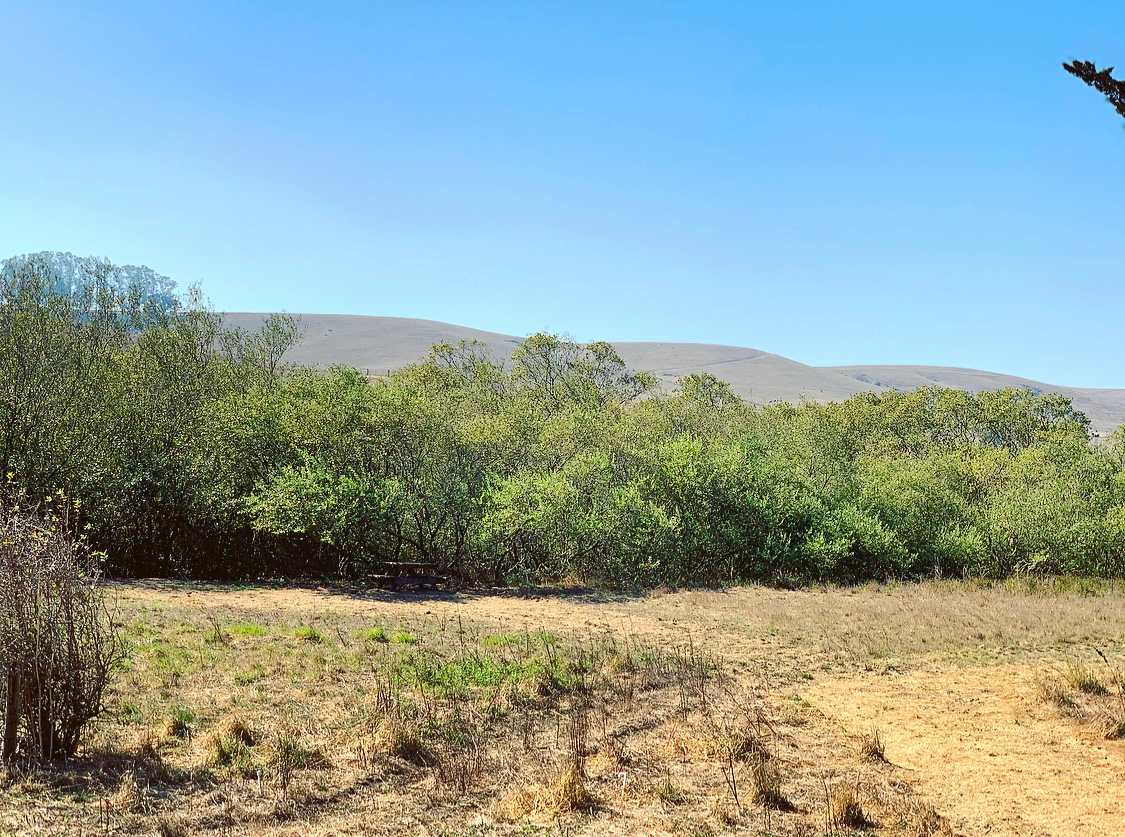 Stemple Creek Ranch