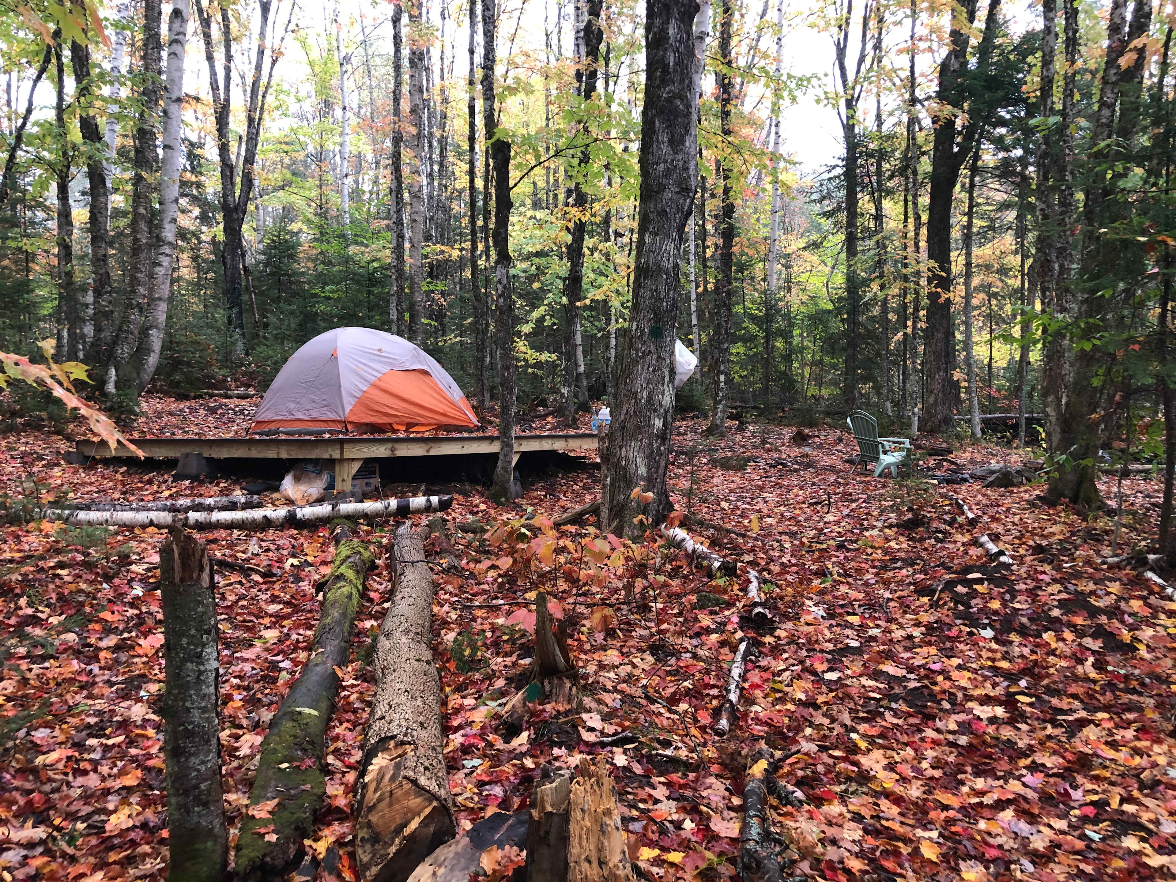 Franconia Forest - 5 Private Acres