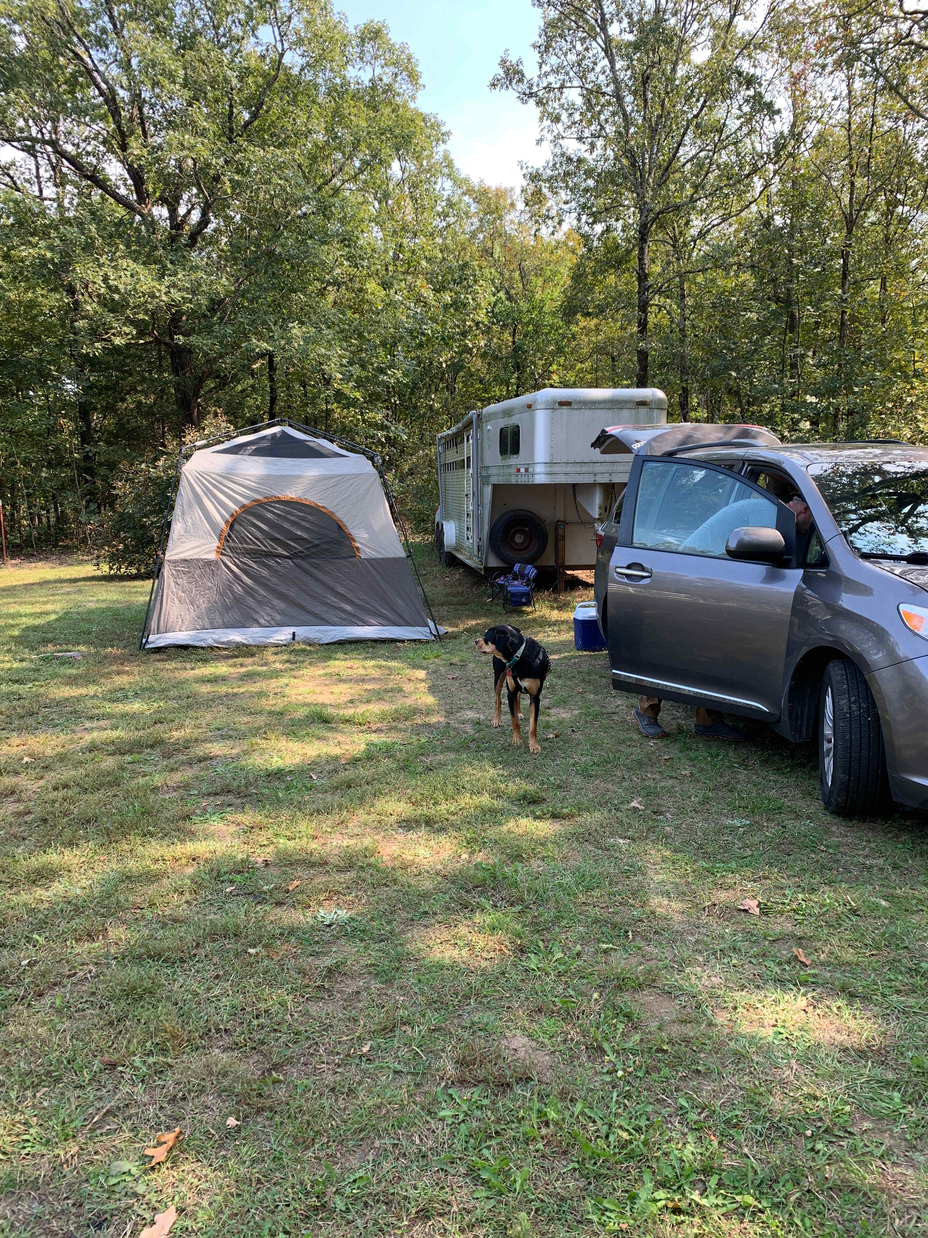 Found our spot in the orchard area set aside for hipcampers