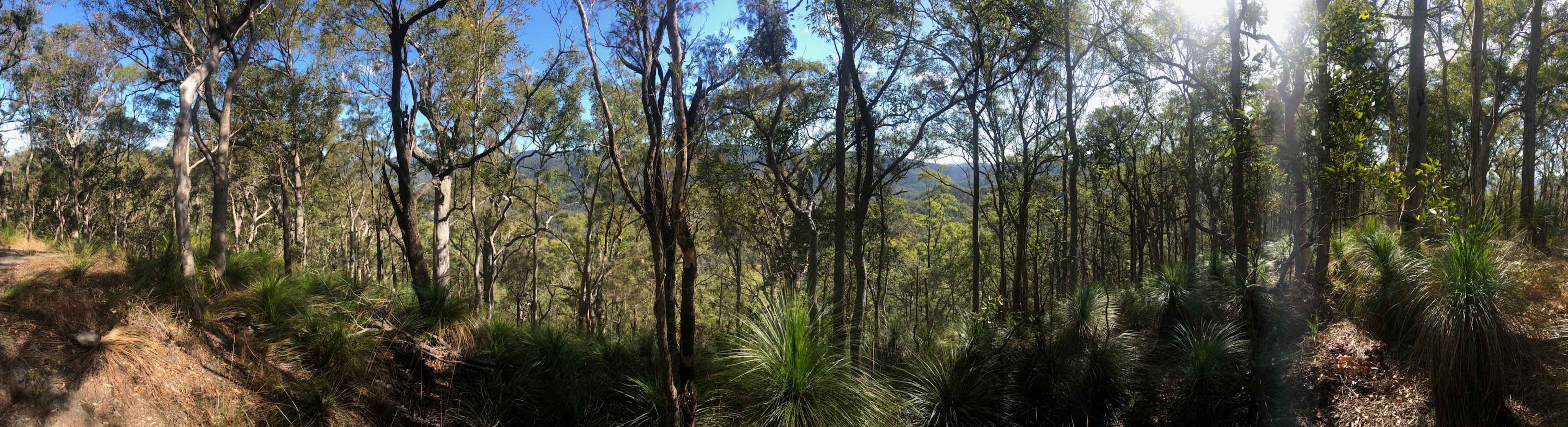 View from the walk around the property. 