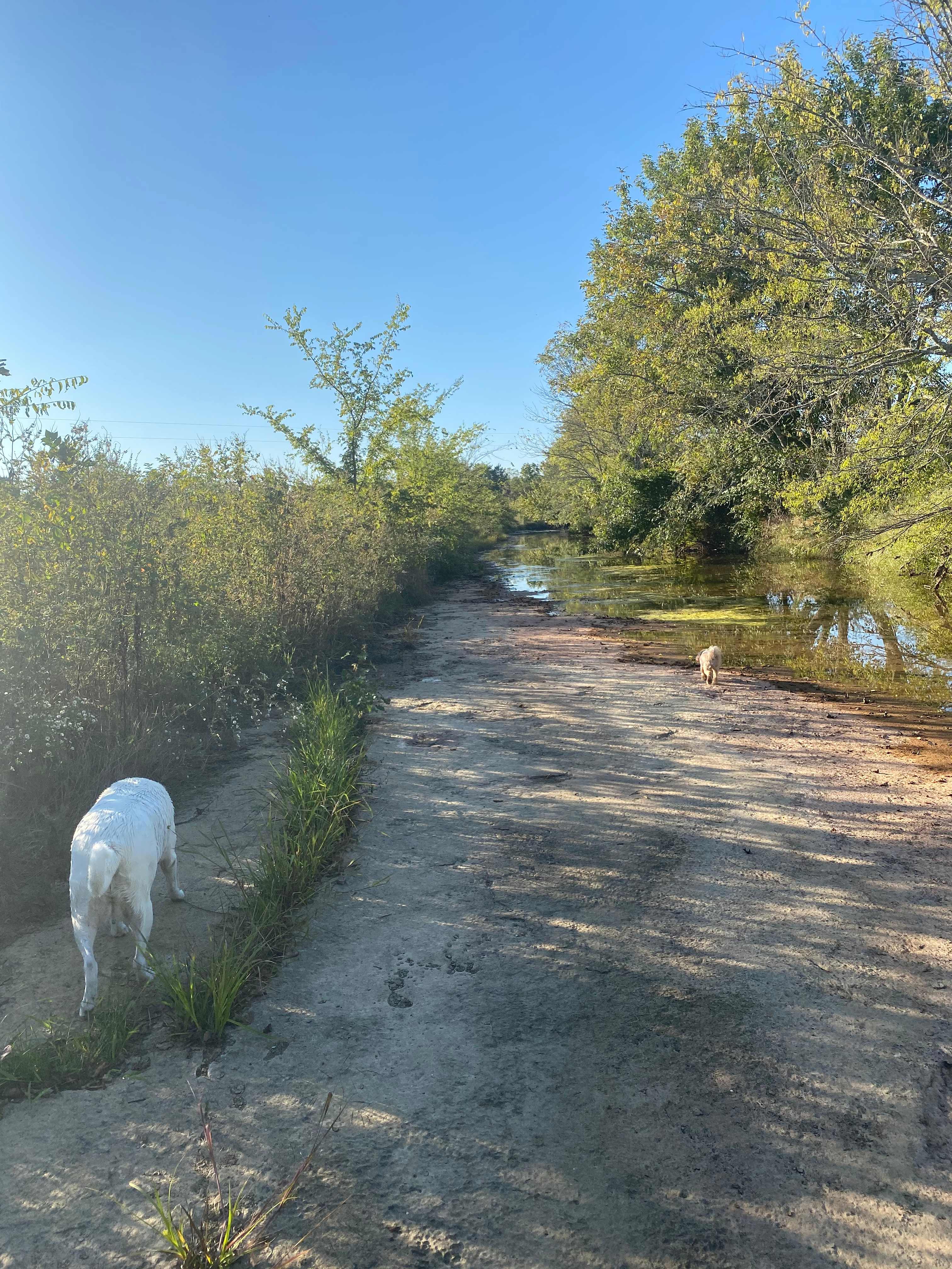 Crossing Creeks Farm
