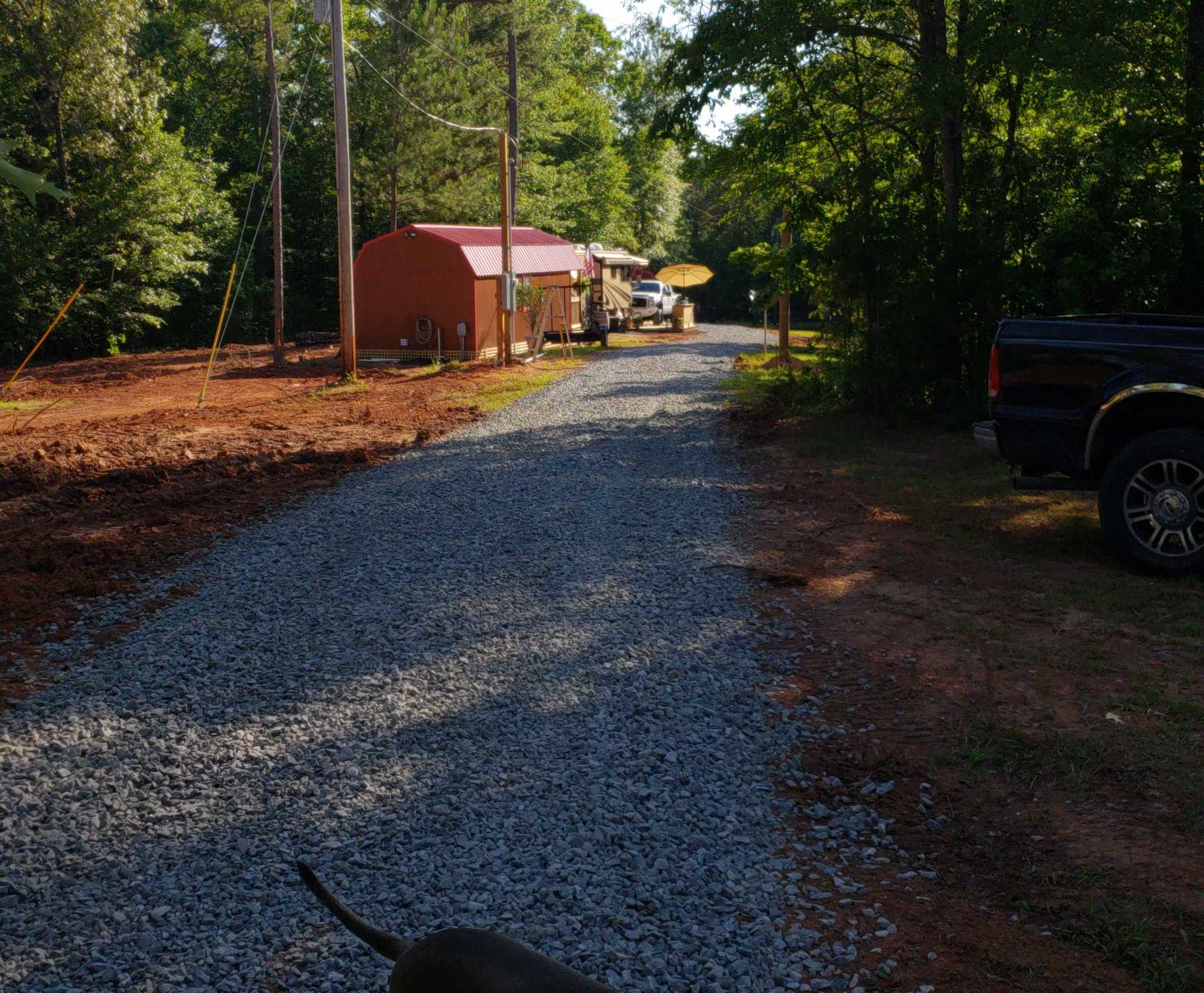 Animal Sanctuary on the Lake