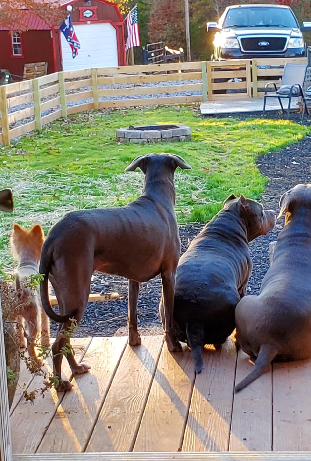 Animal Sanctuary on the Lake