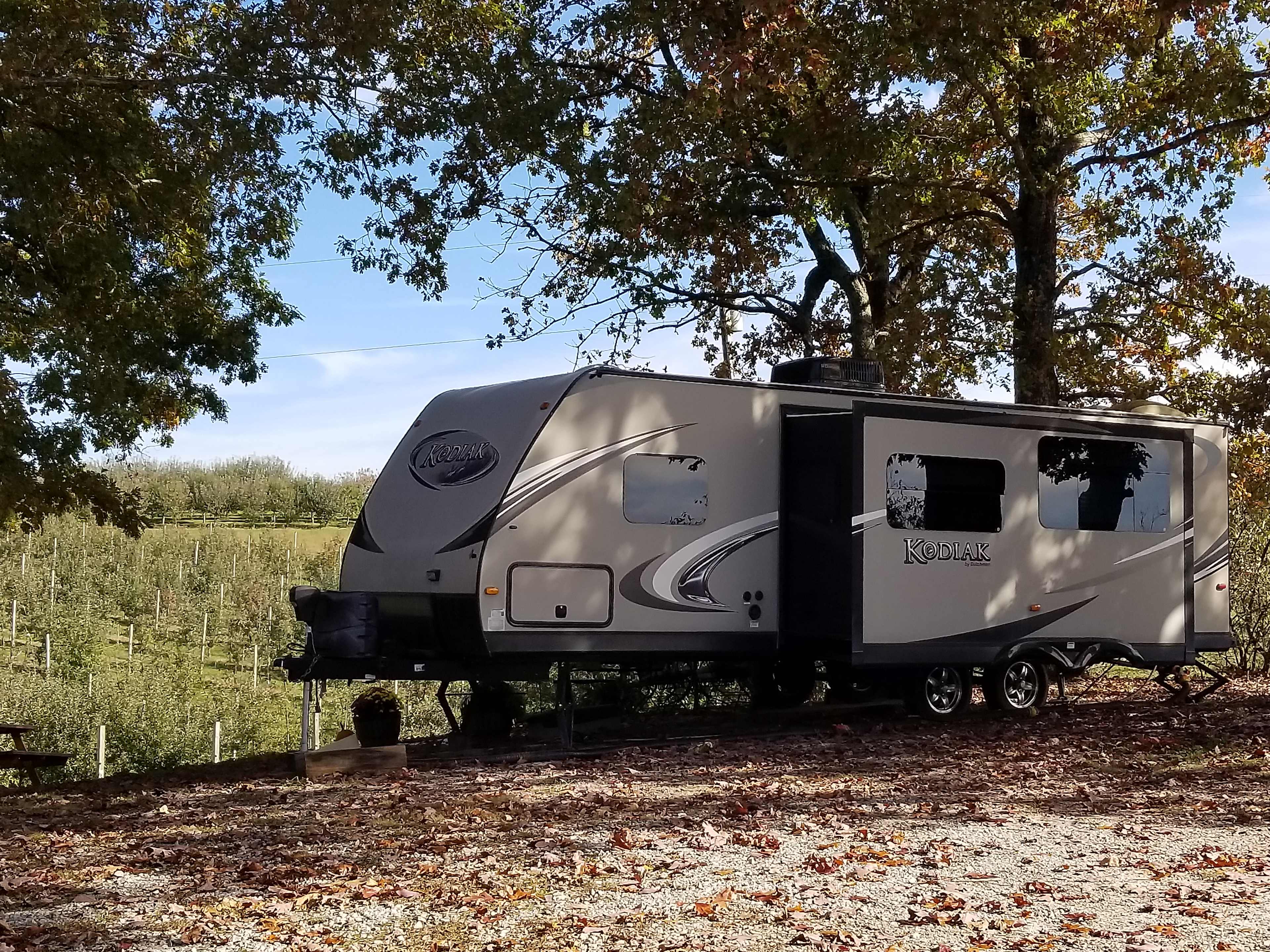 Shaded site nestled under oak trees.