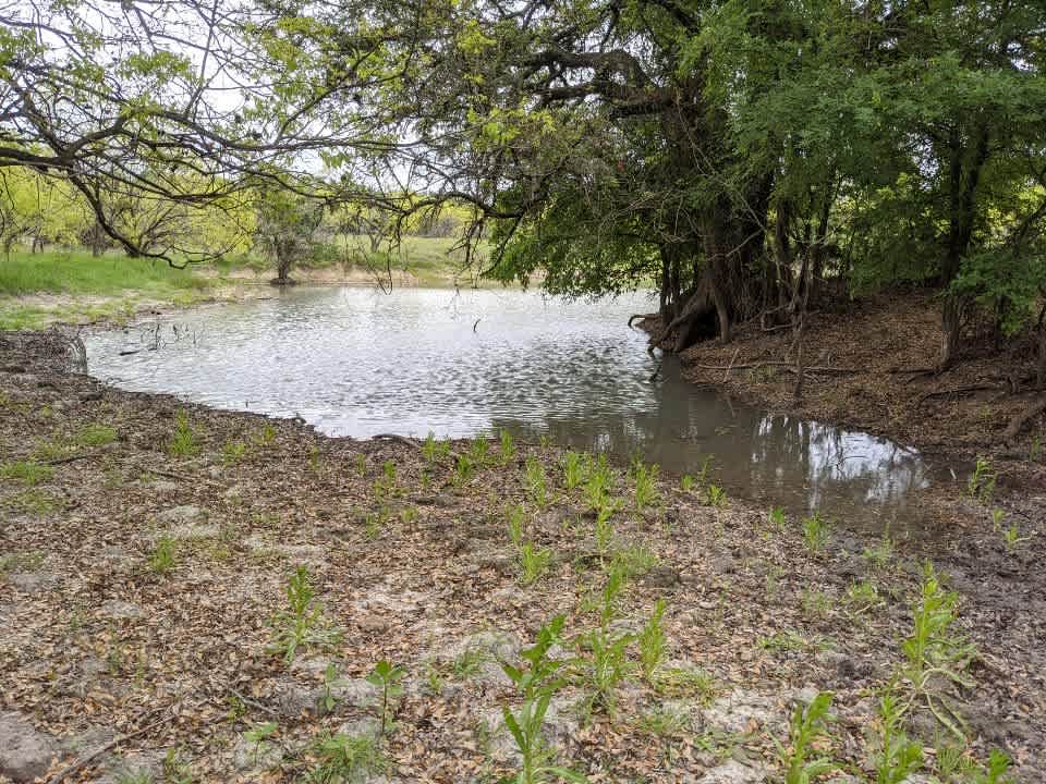 Comanche Oaks Ranch