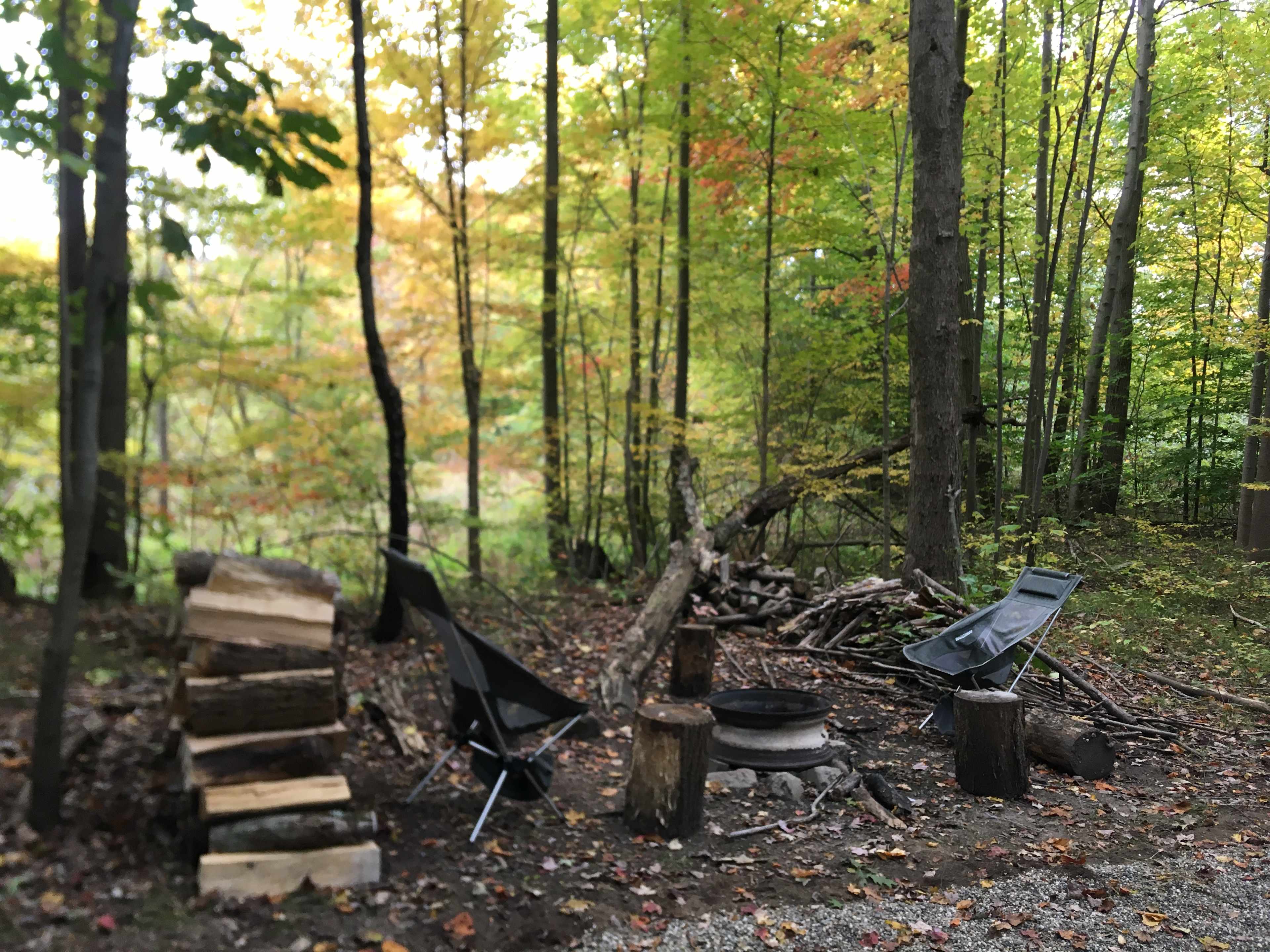 Picture of the site