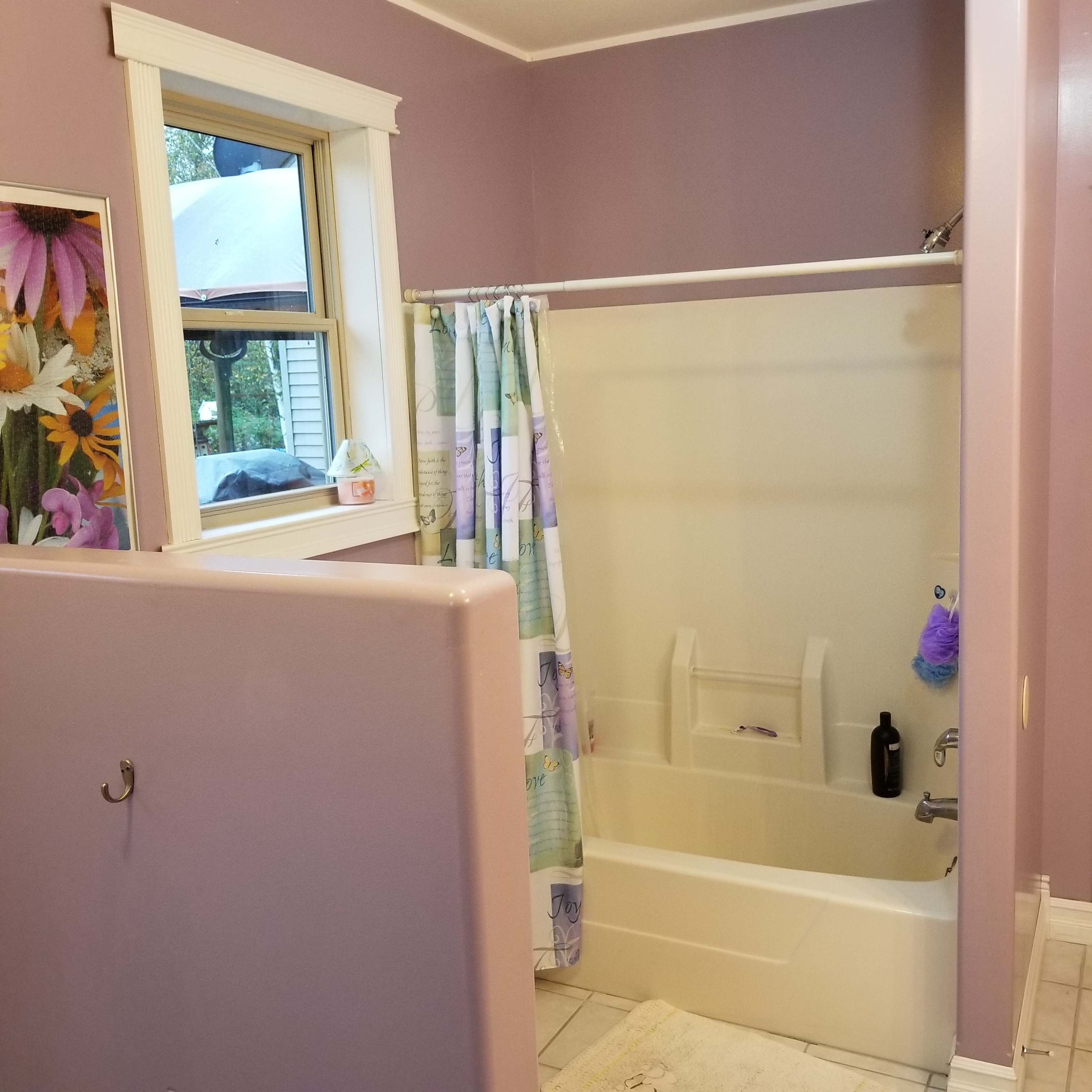 Guest bath and shower.