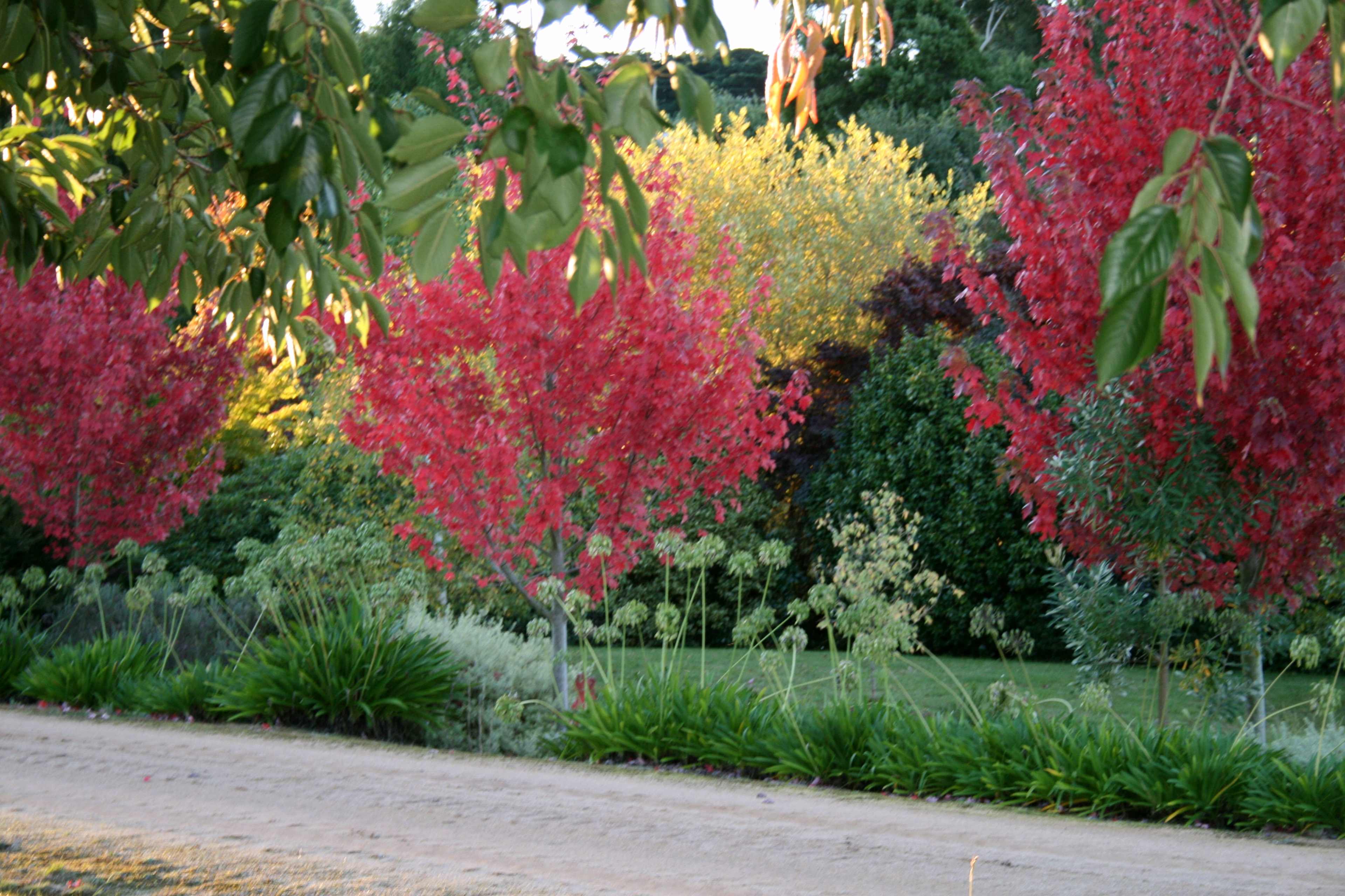 Milleara Gardens