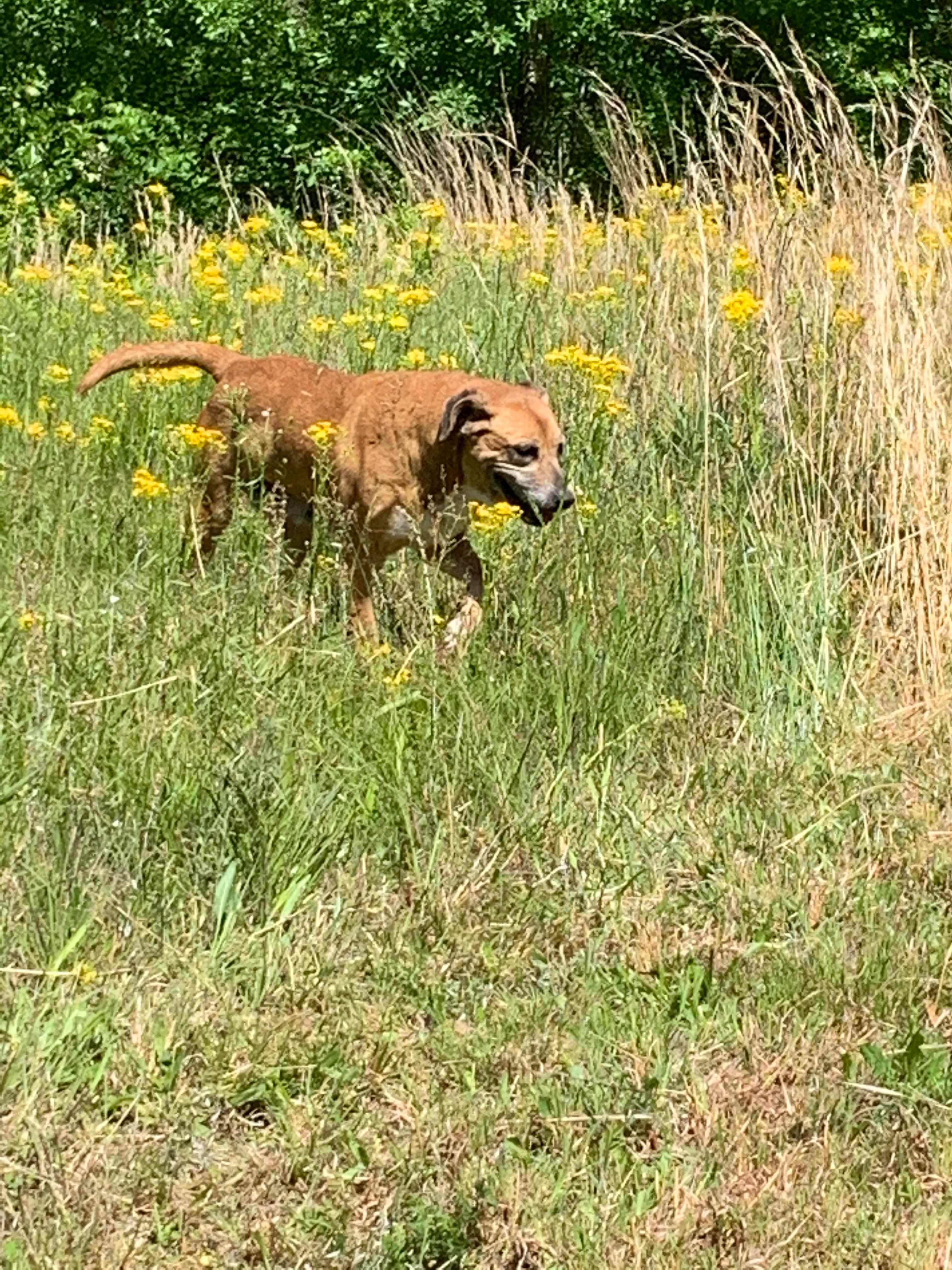 Our girl Zo