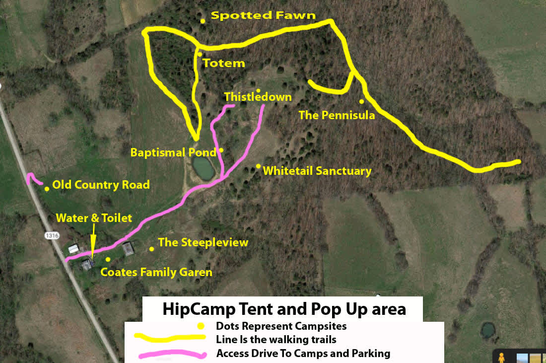 Picture of the site
