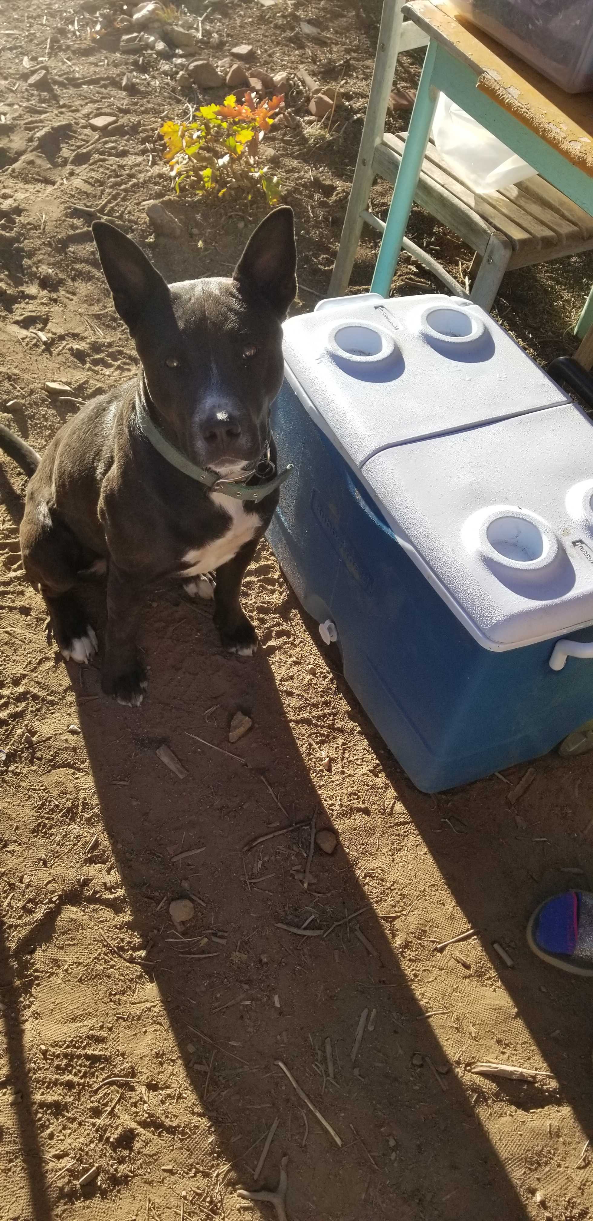 This is Jupiter!
