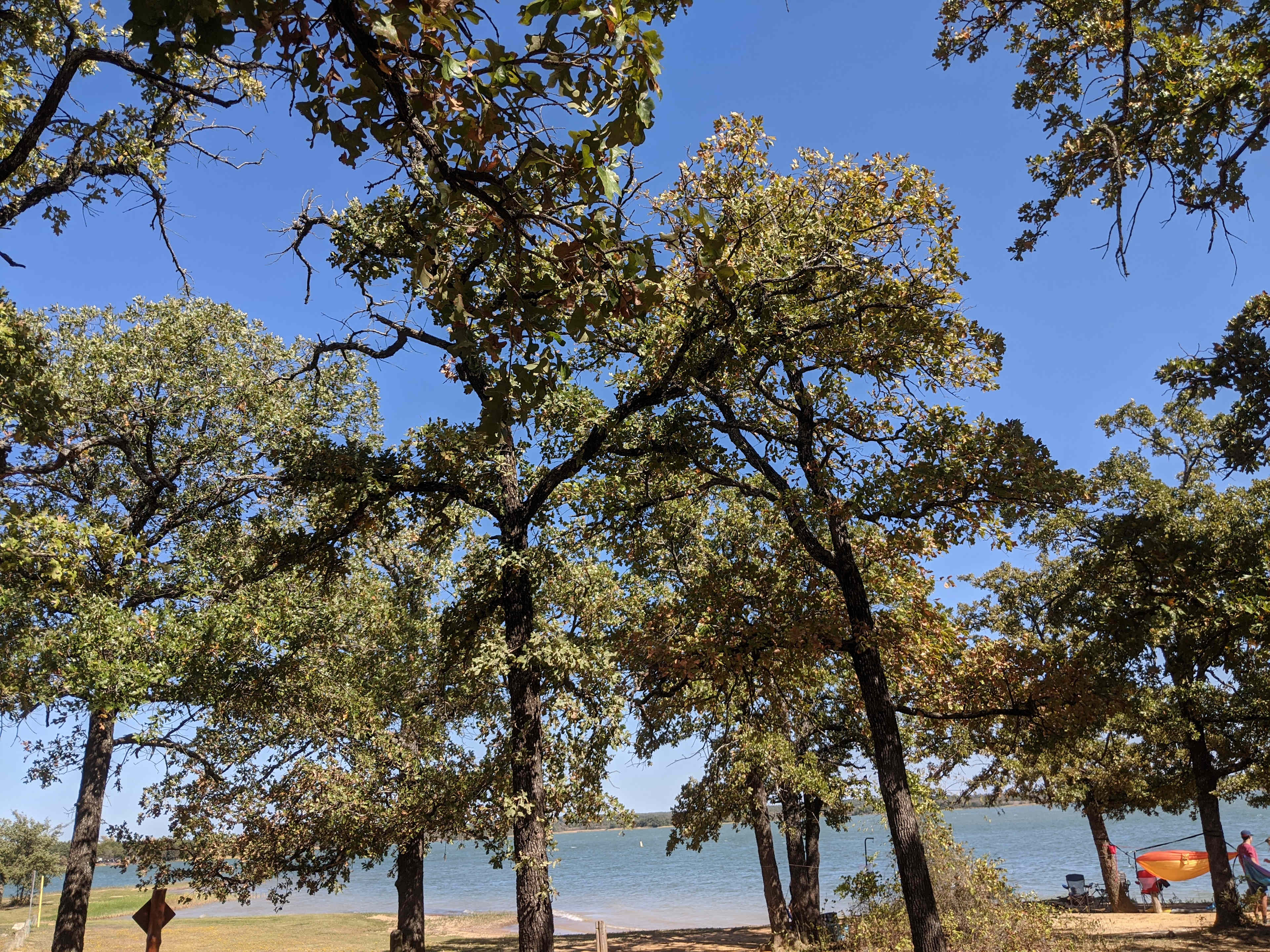Tipps Point Campground