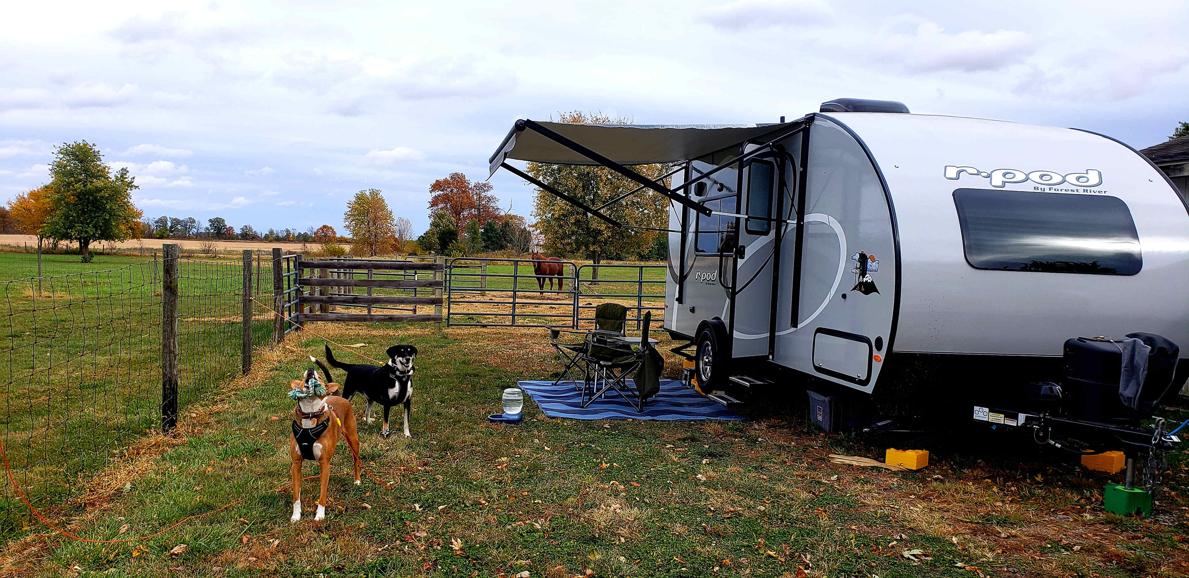 Shalamar Farm