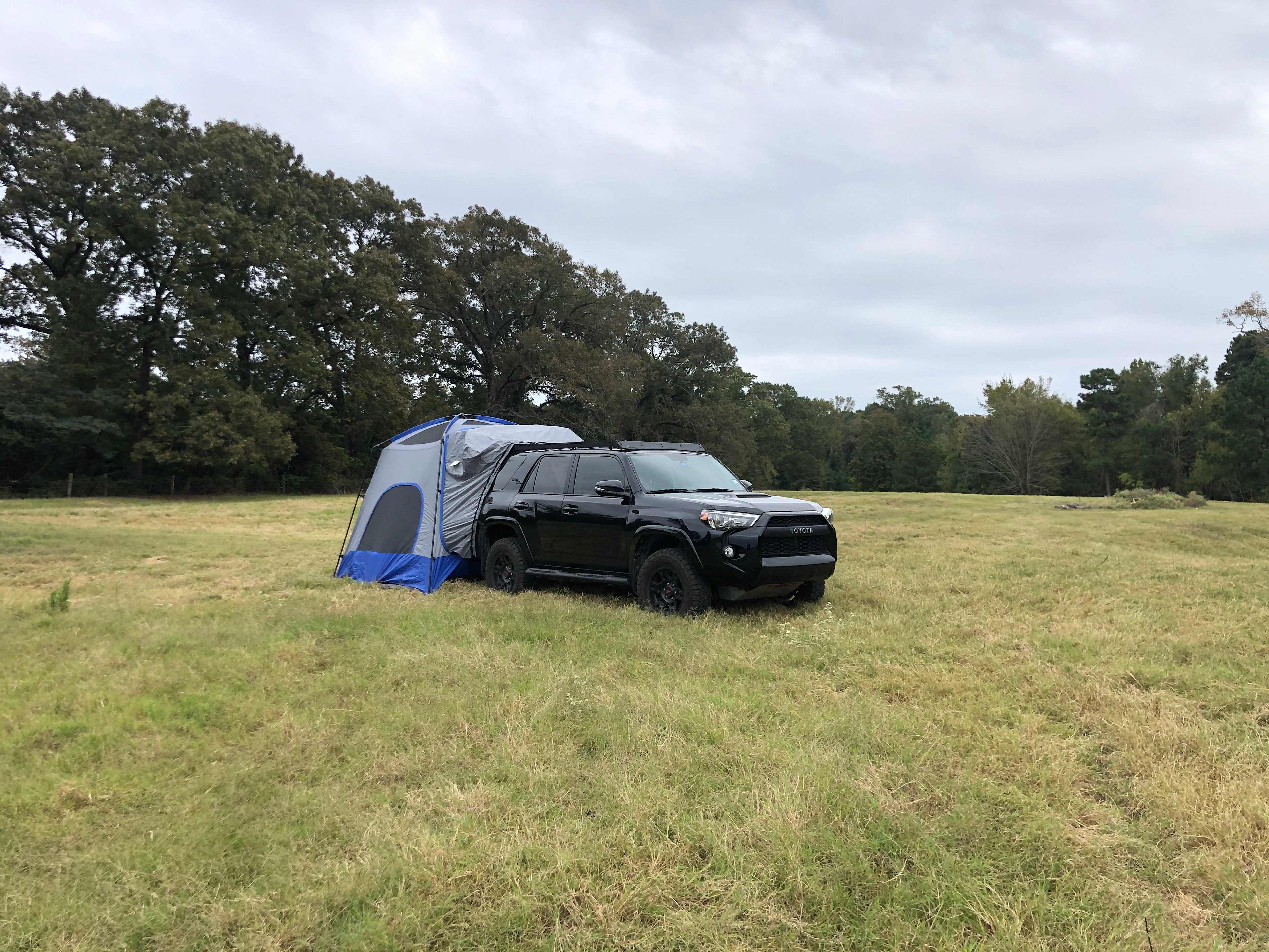 plenty of room for camping