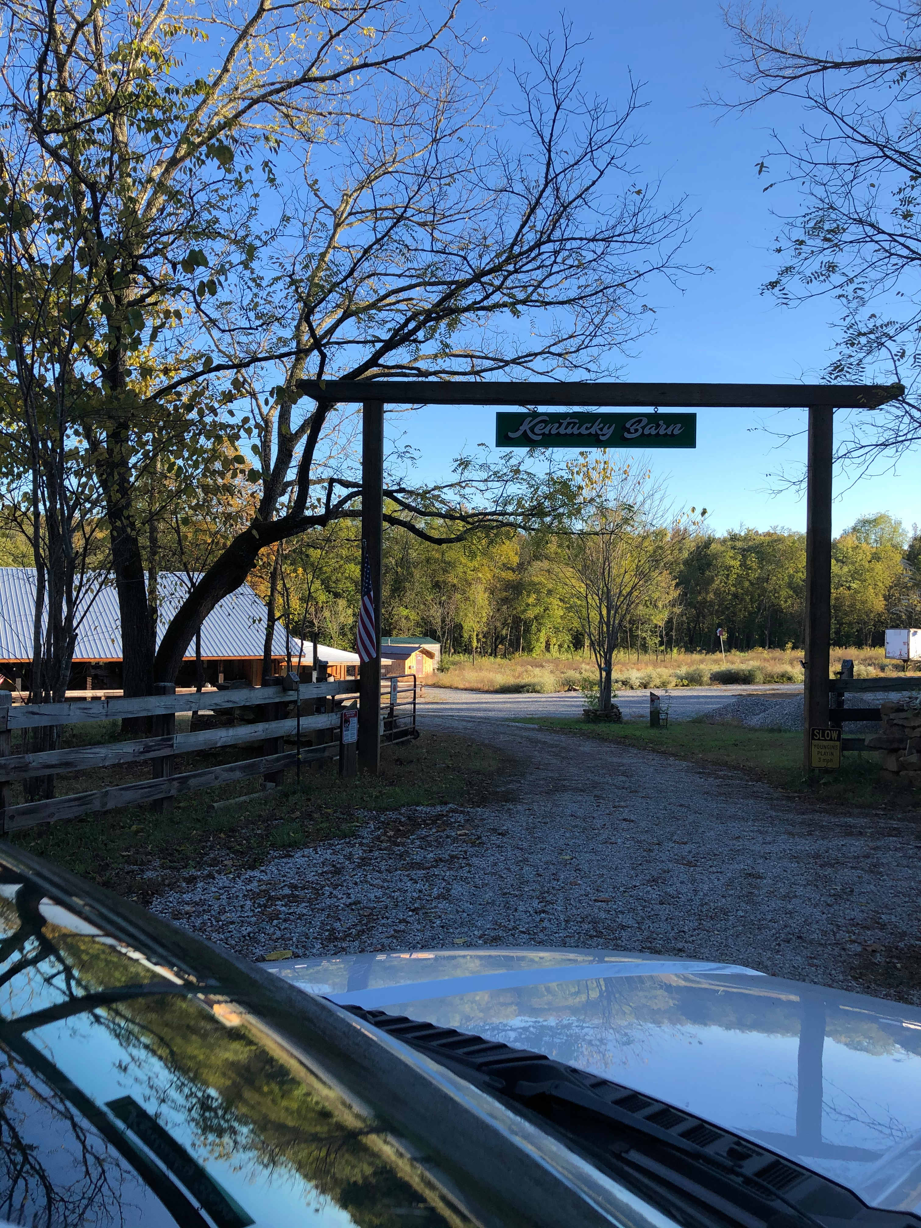 Picture of the site