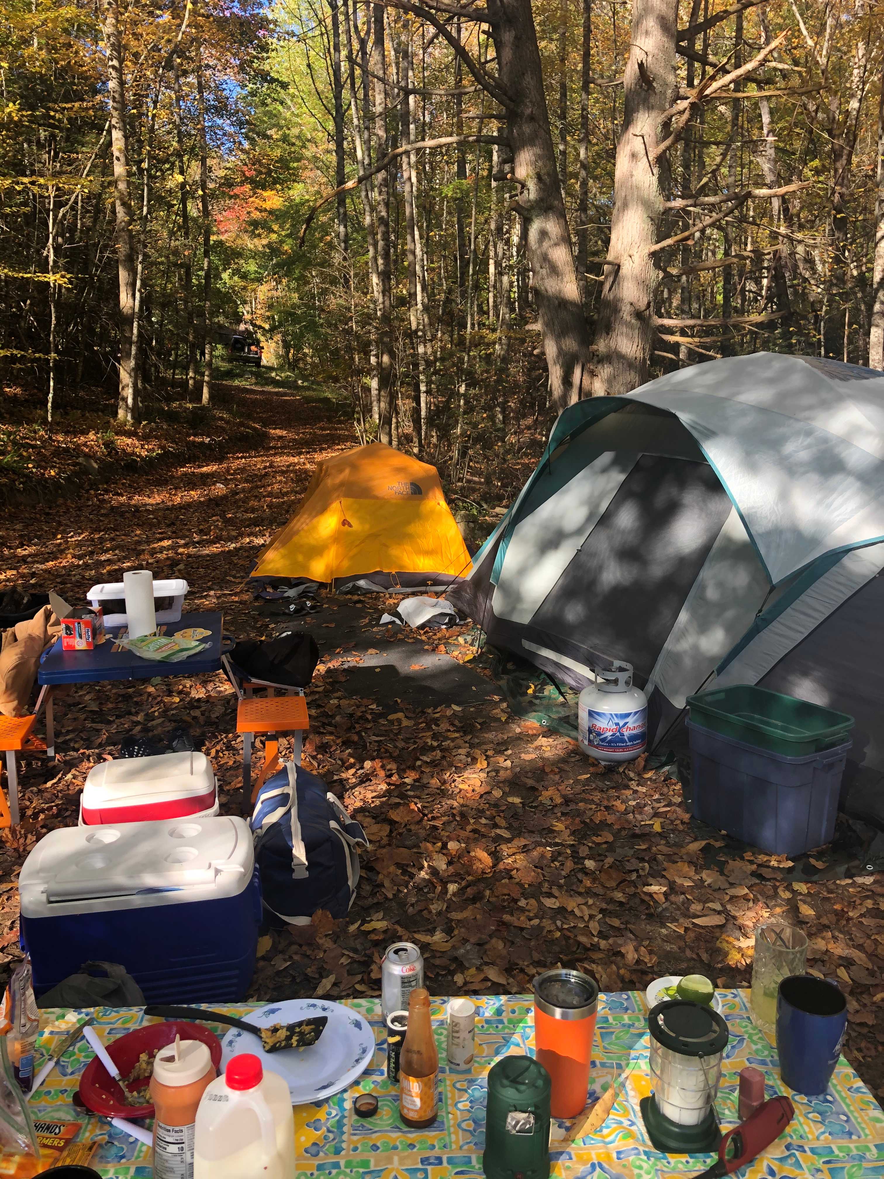 Picture of the site