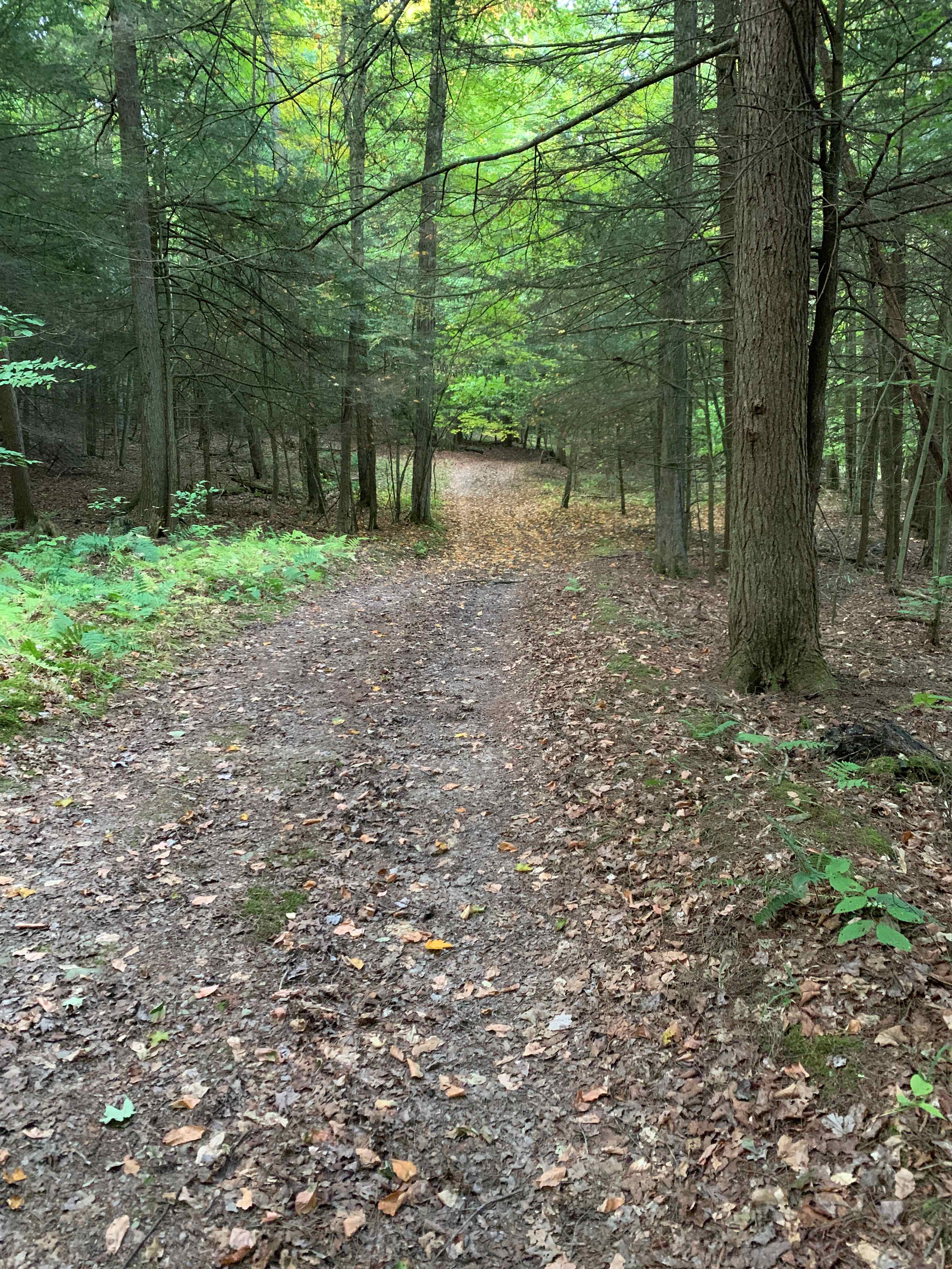 On Site Trail