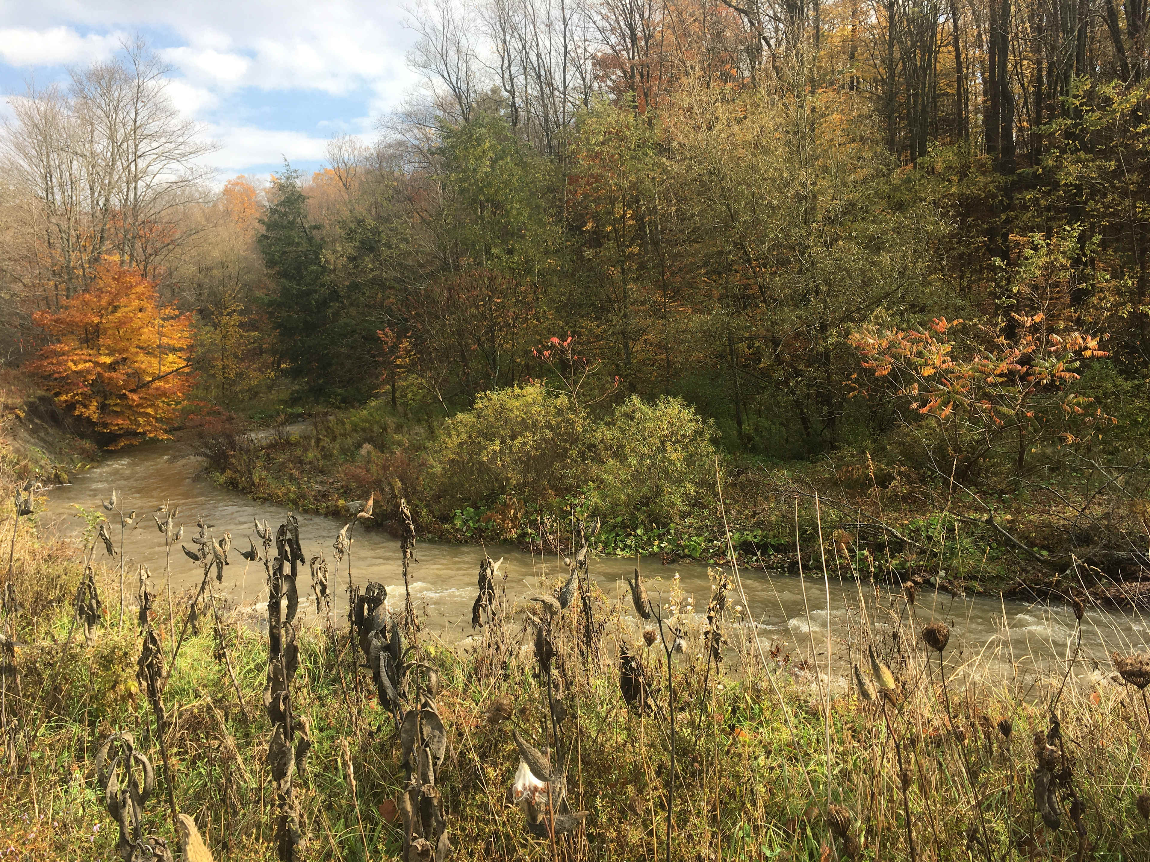 Picture of the site