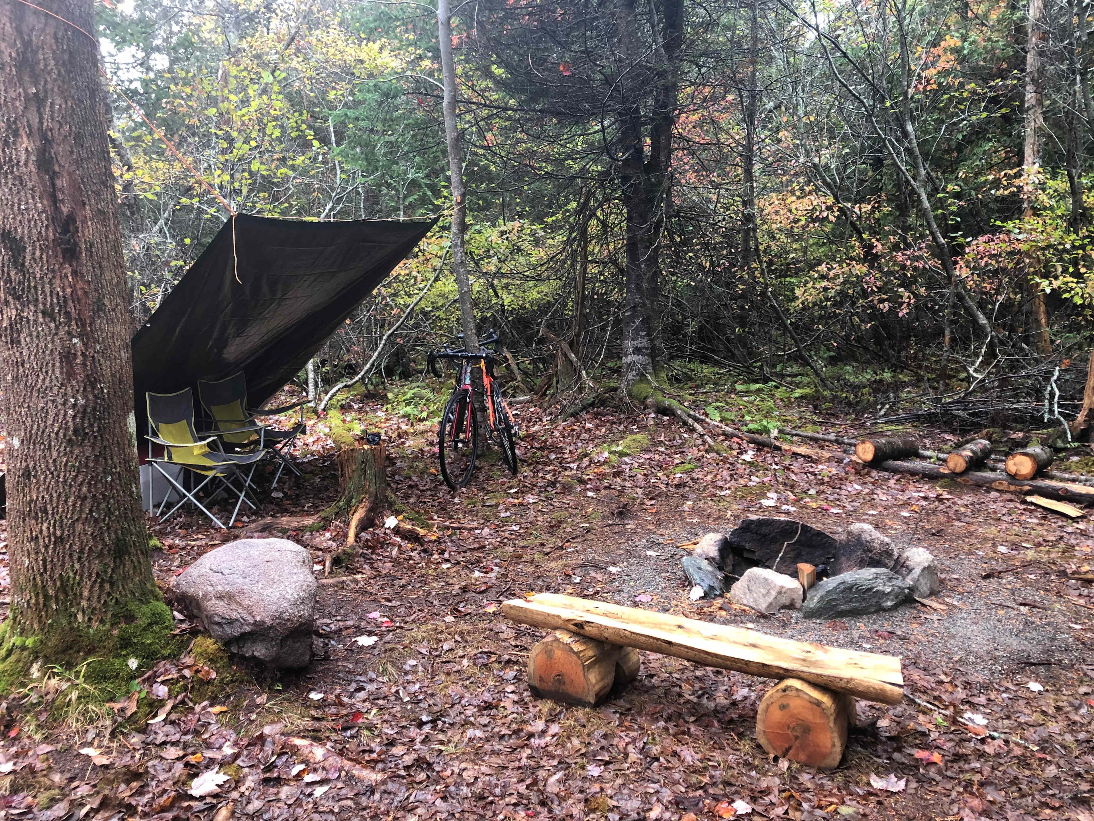Picture of the site