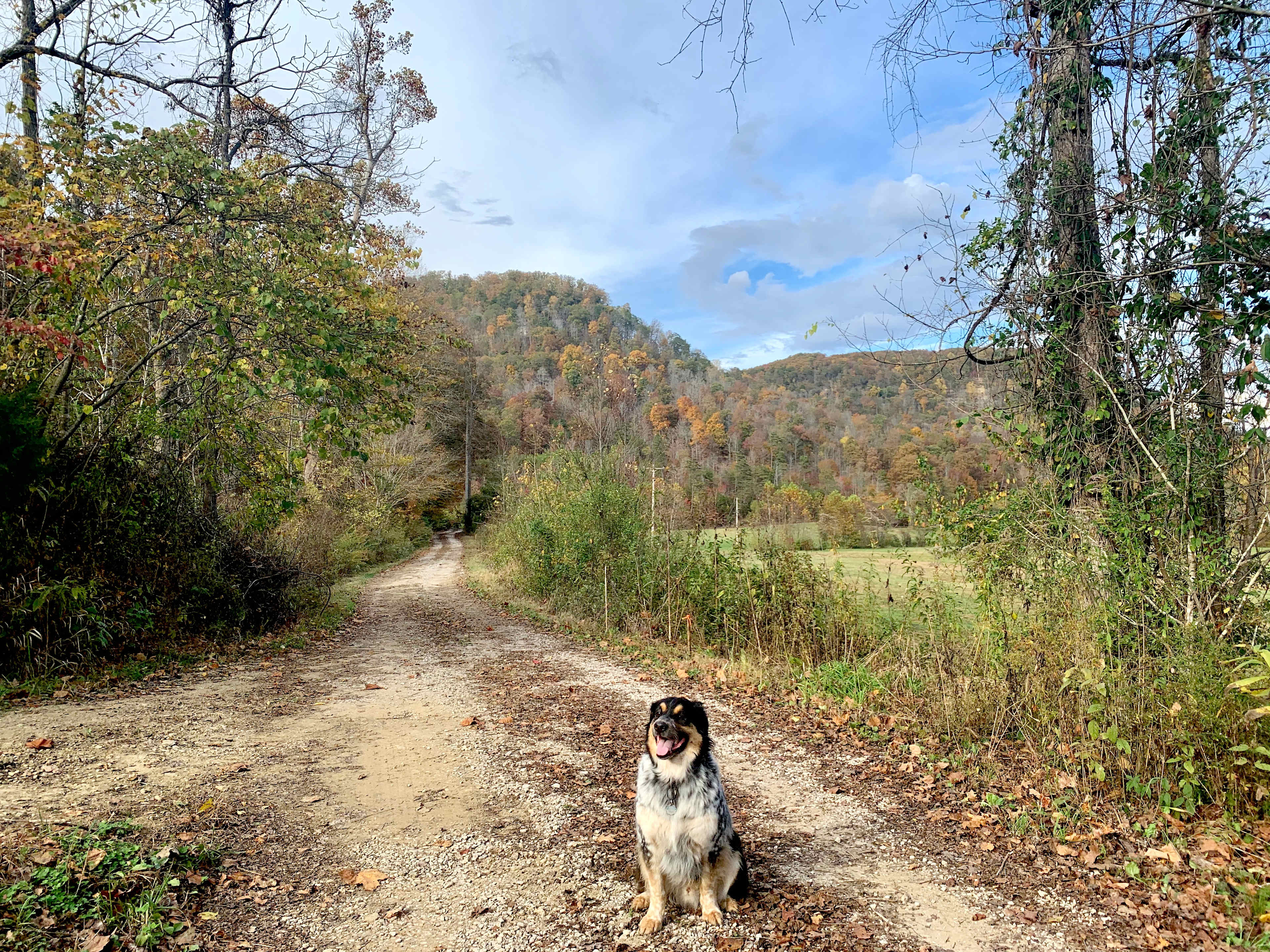 Camp Middle Fork