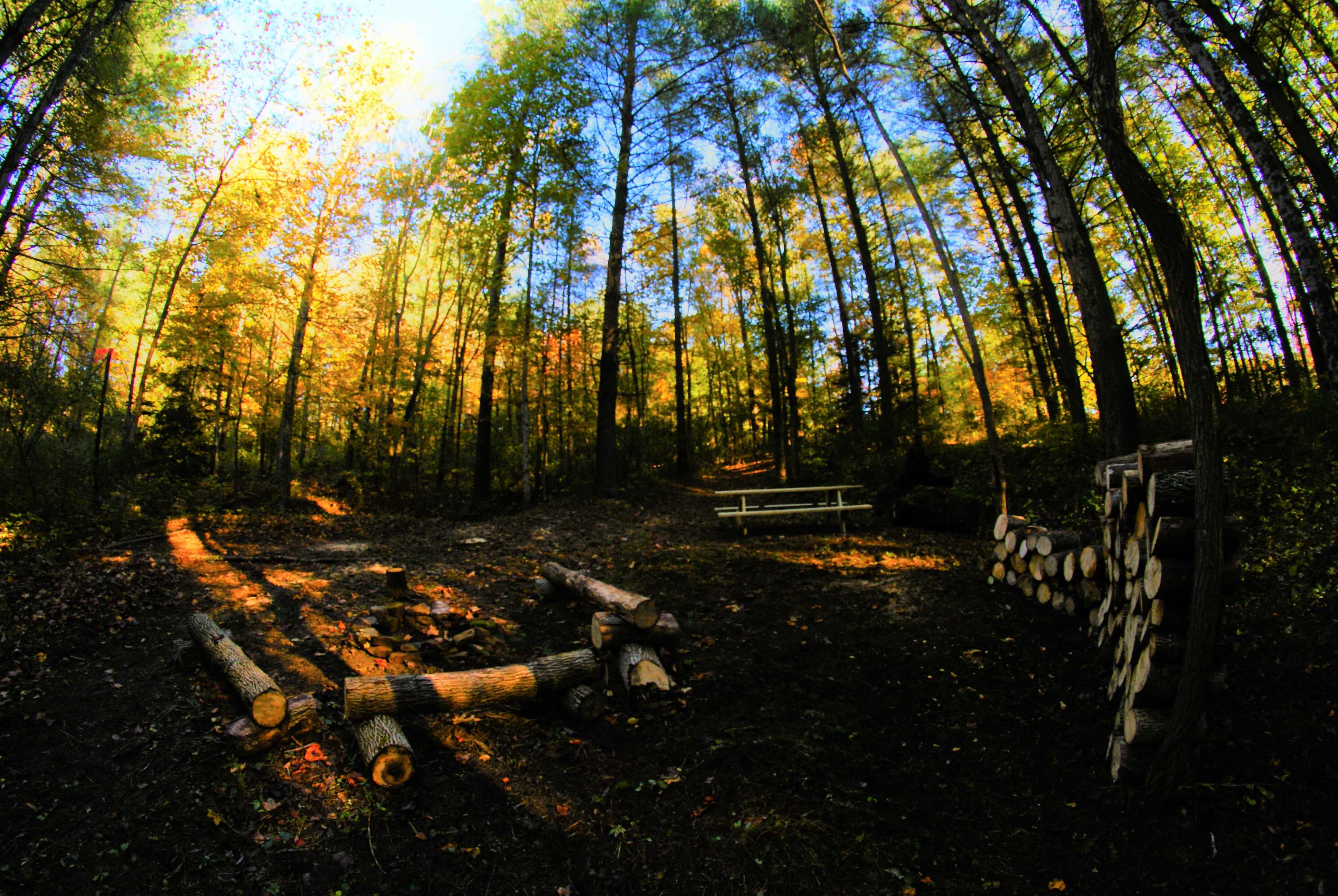 An overview of the site. 