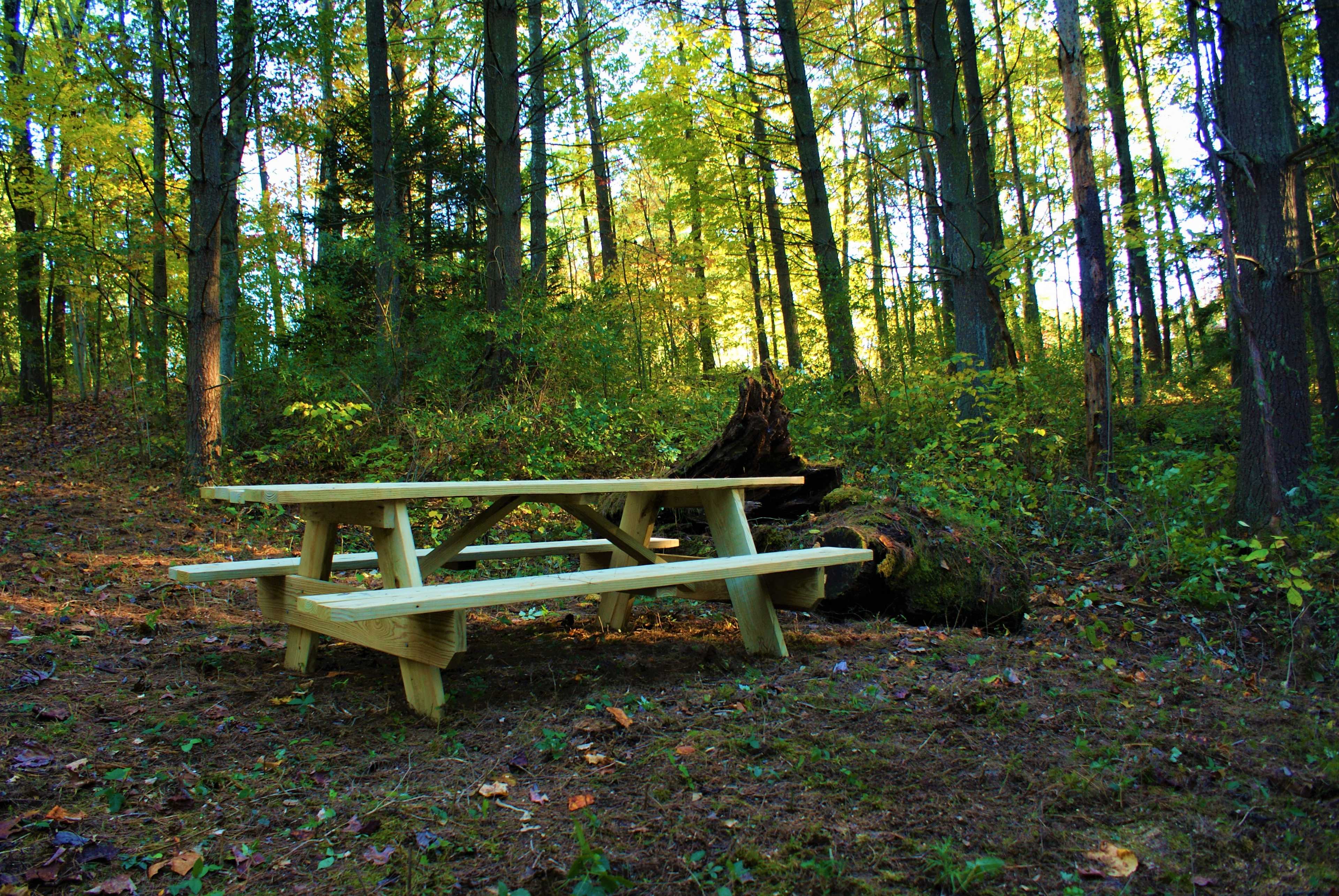 Newly constructed 8 foot picnic table. 