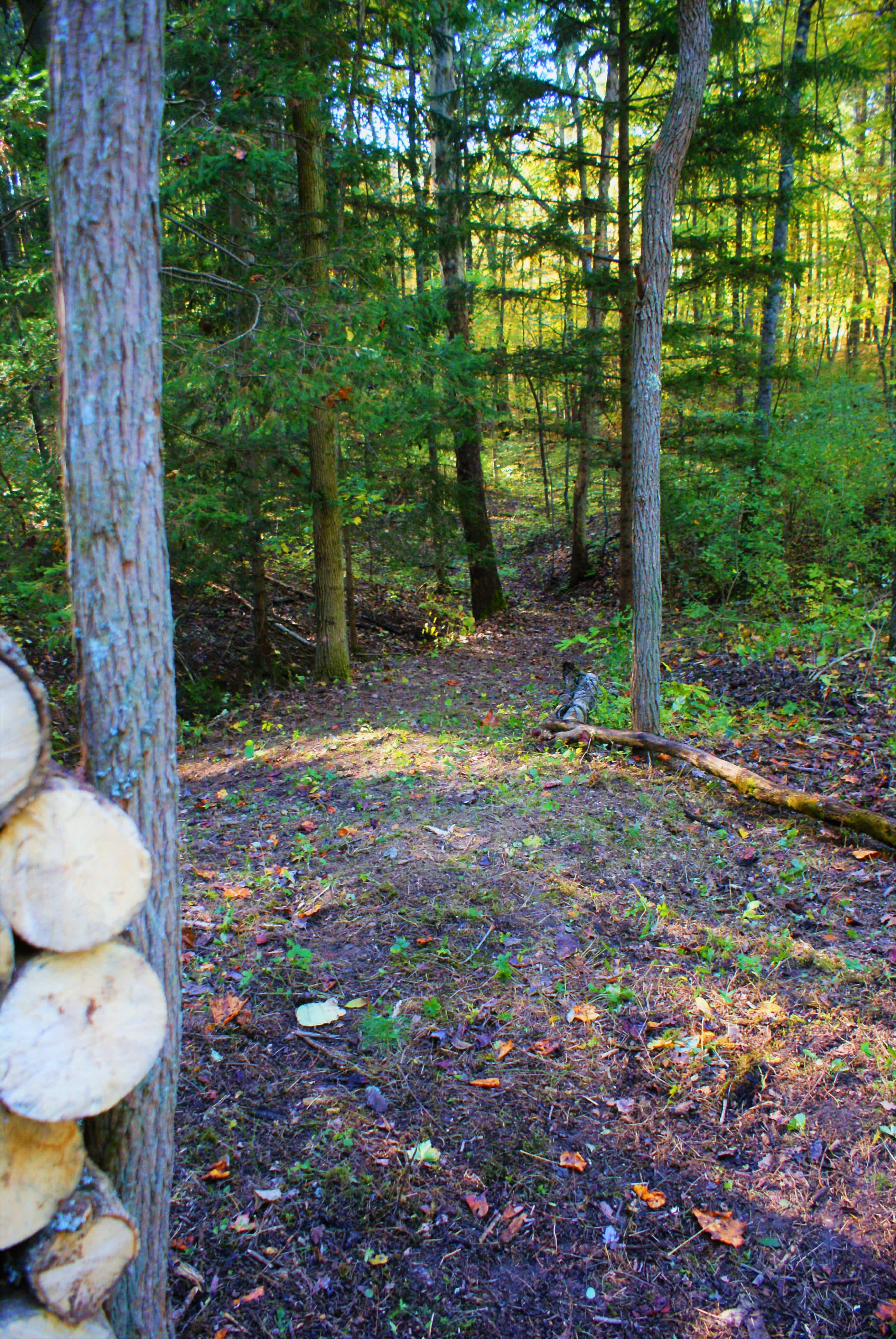 This is the trail leading to an additional relaxation bench. 