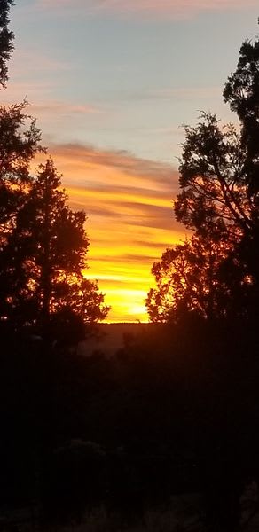 Sunsets are amazing