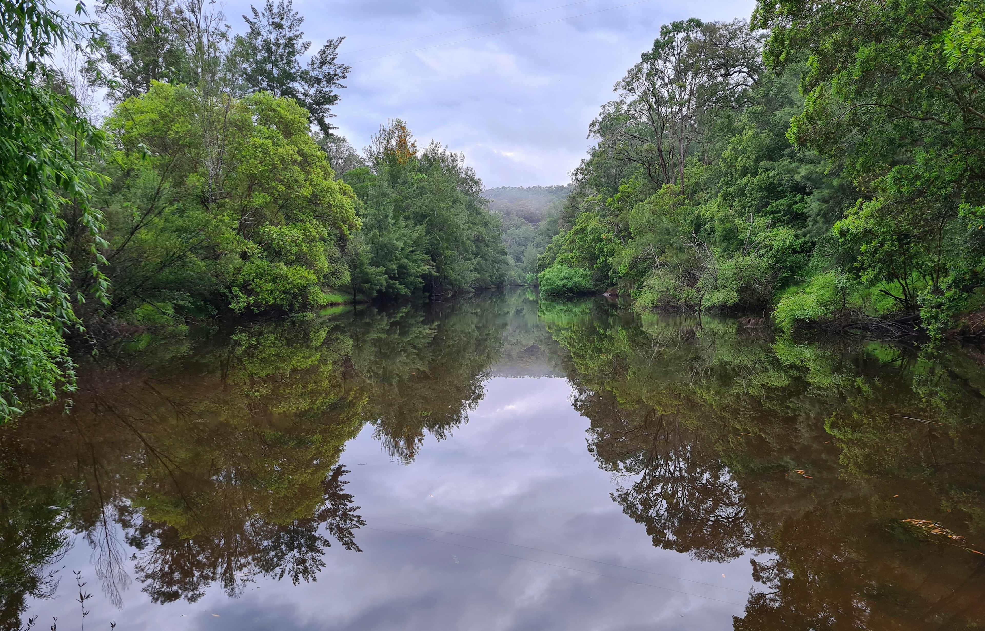 Wollombi Brook