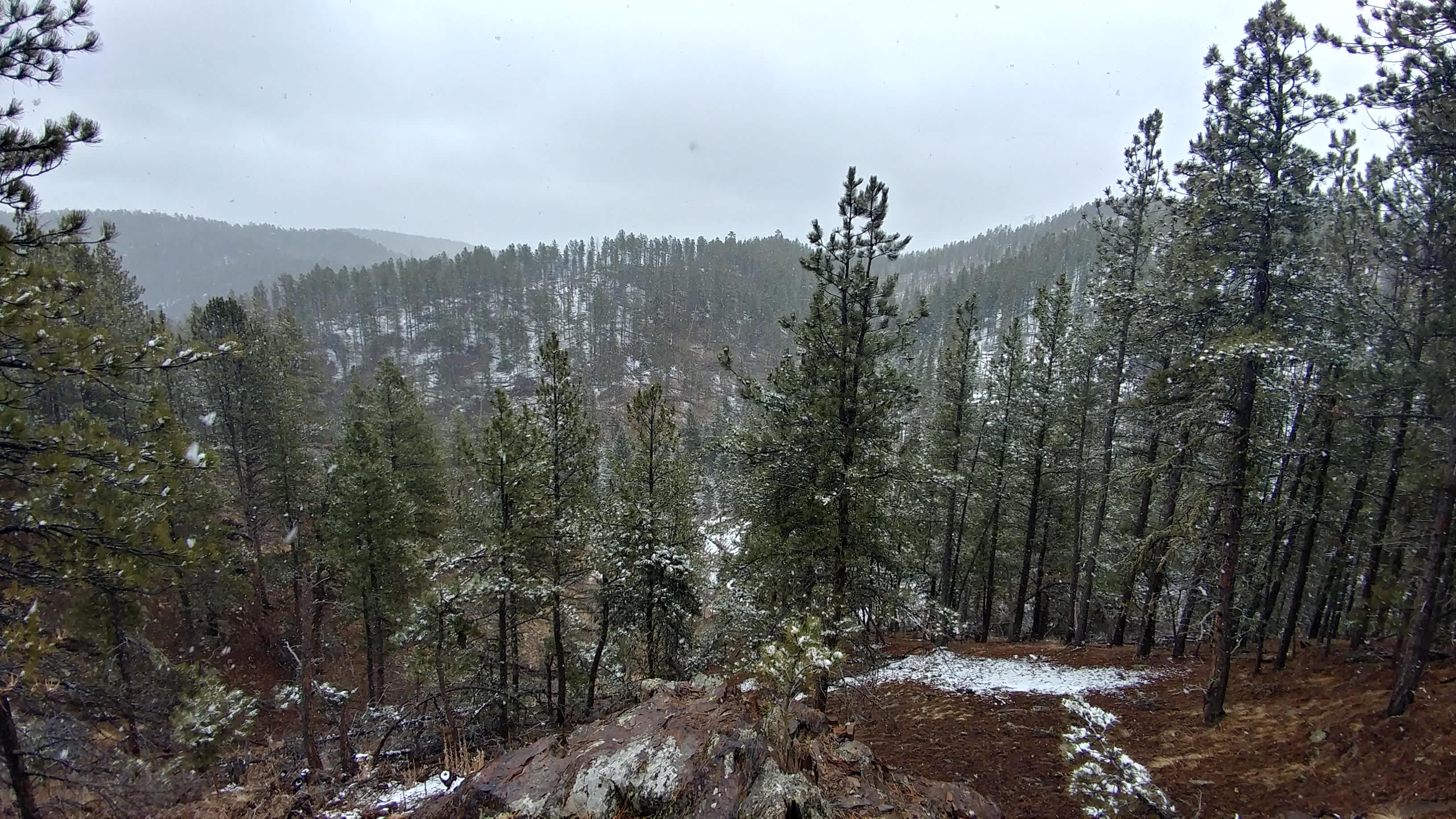 The Wilderness